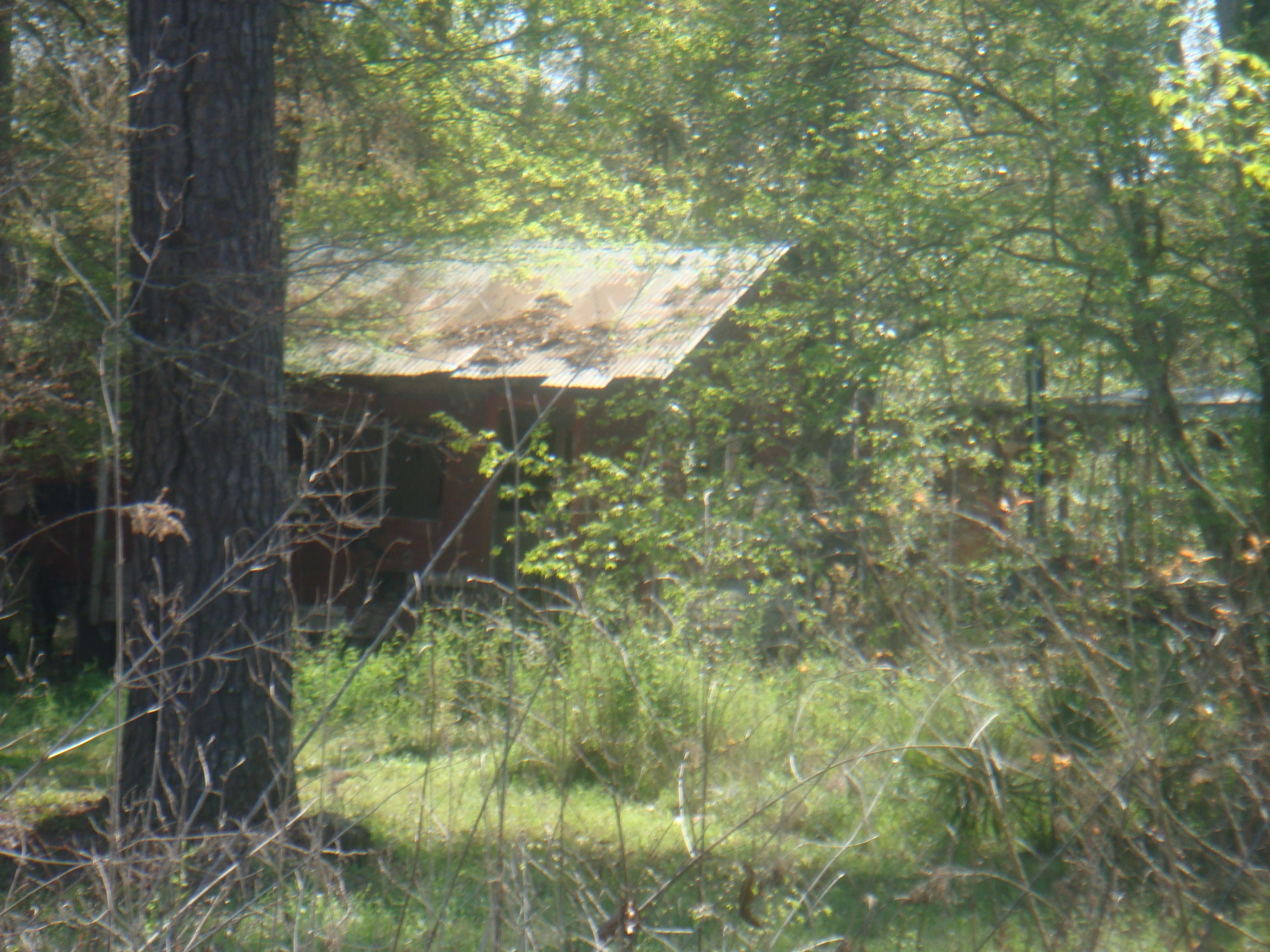 Has Seen Better Days
