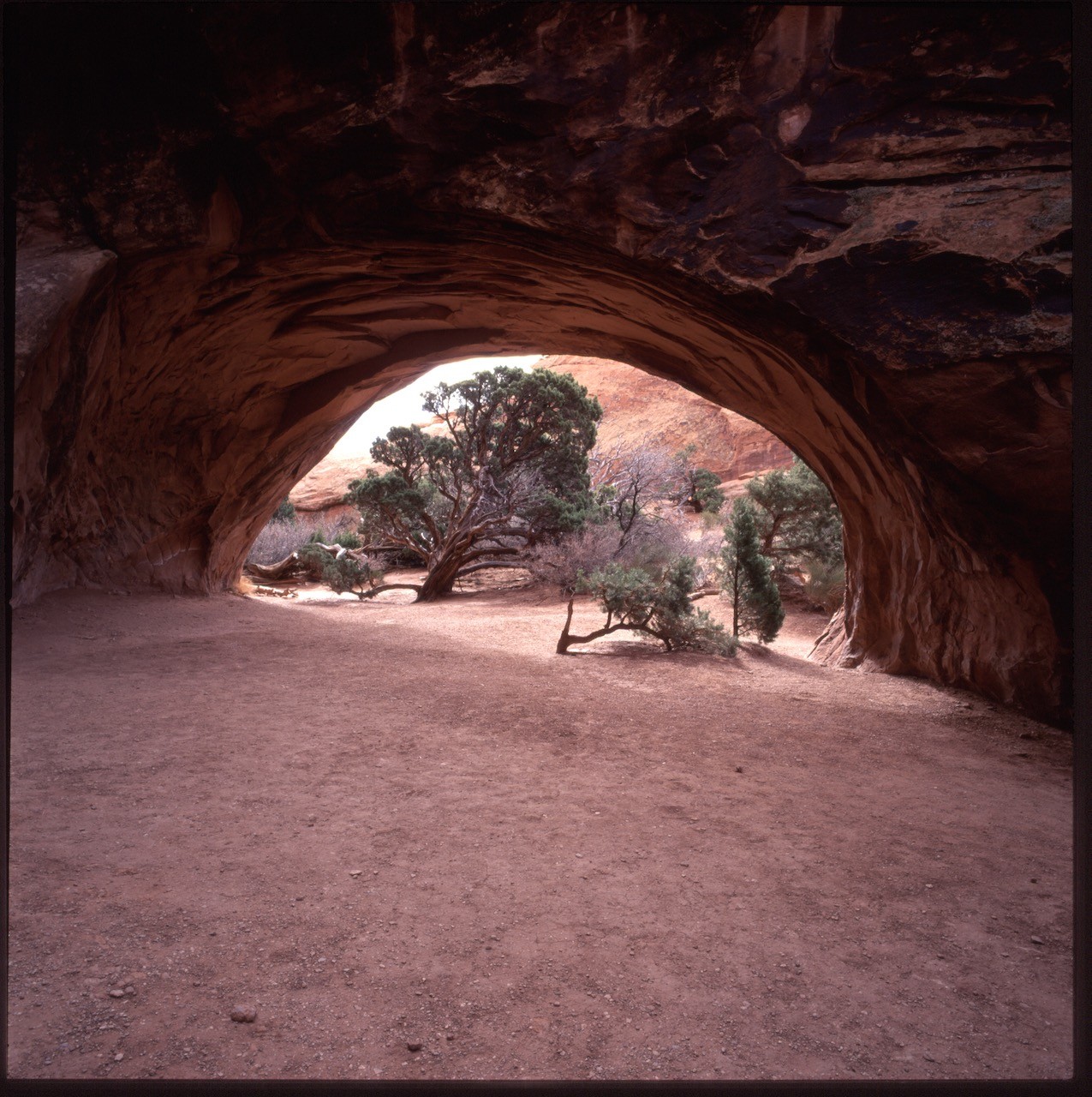 Hasselblad Scans Antelope Canyon, Arches, Florance, Frankfurt, Venice, Yucatan (5).jpeg