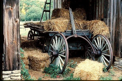 Hay_Wagon_in_Color