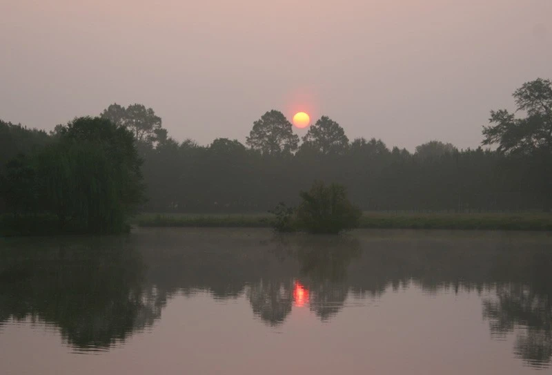 Hazy Sunrise