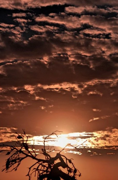 HDR trial