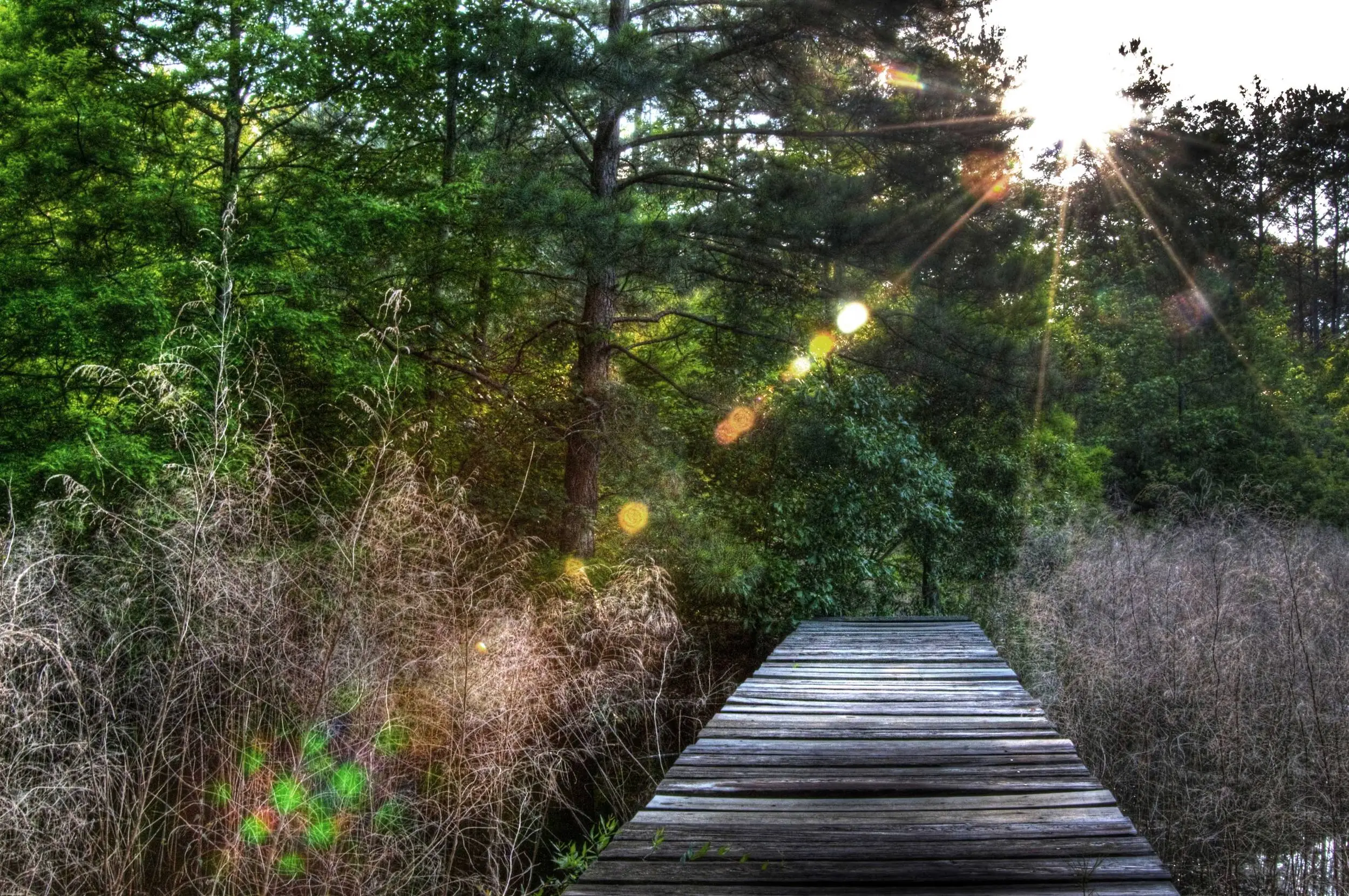 HDR