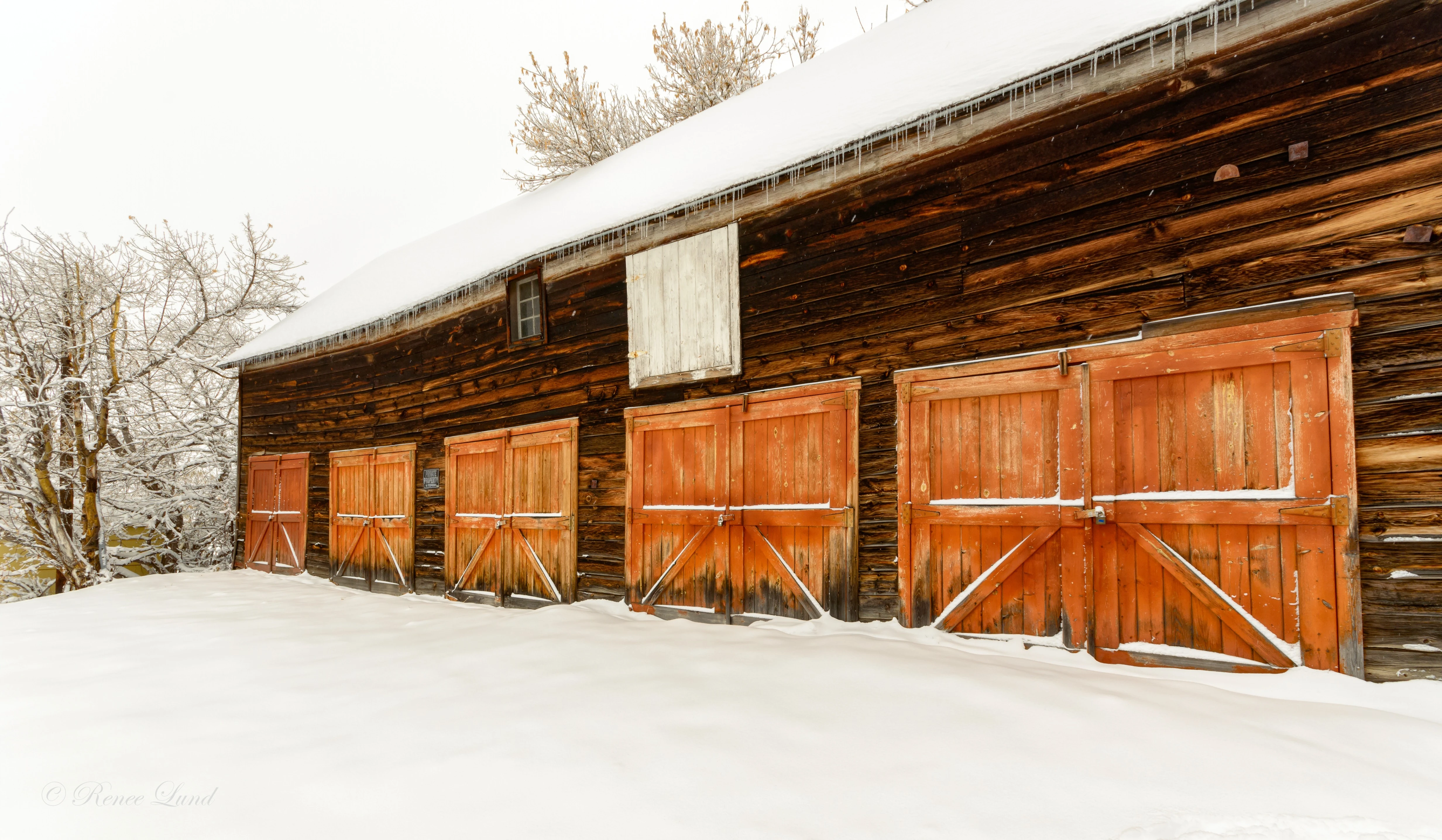 Historic Horse Drawn Fire Rescue Barn_1902.jpg