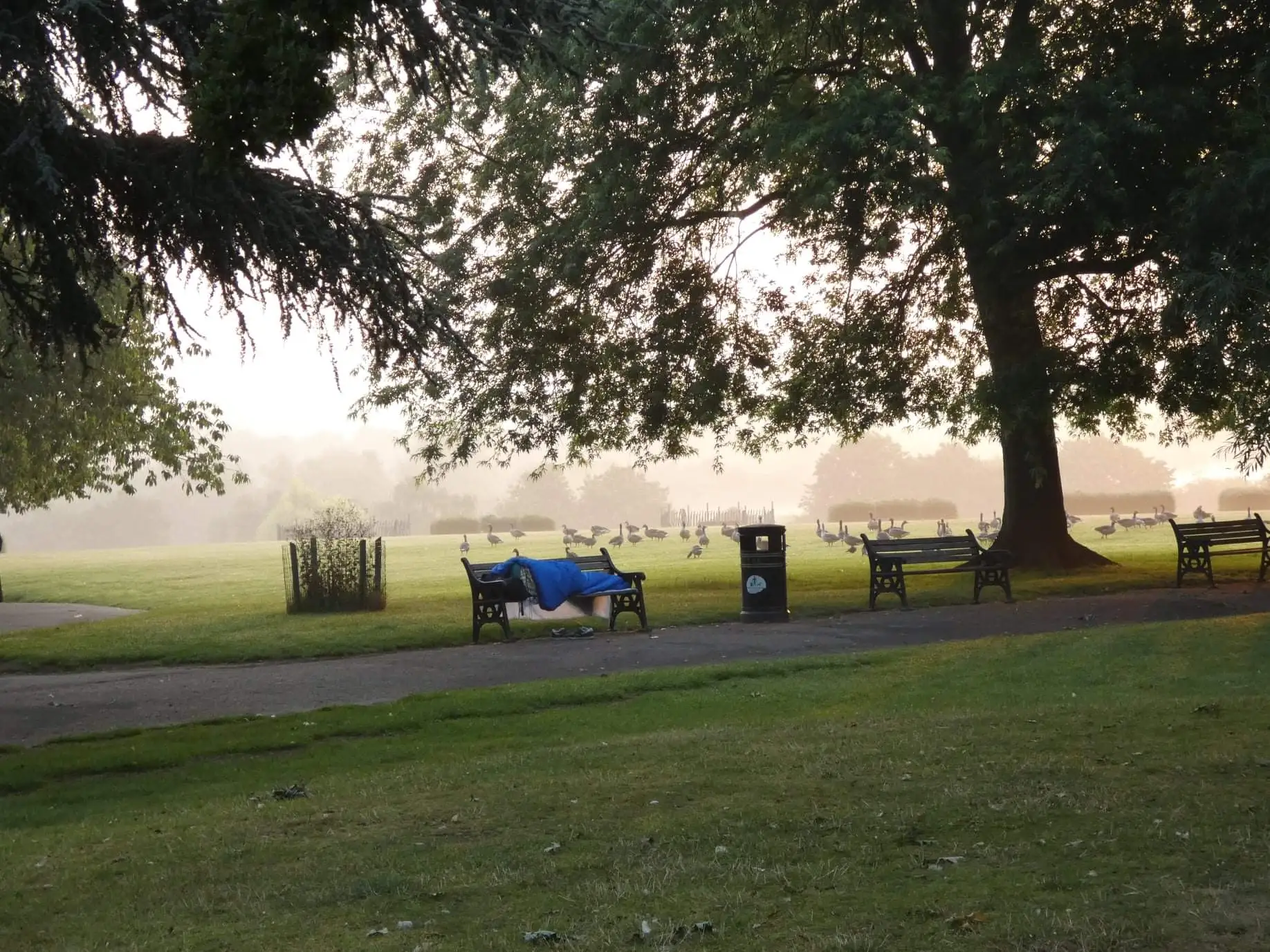 Homeless at Sunrise. Springfield Park.