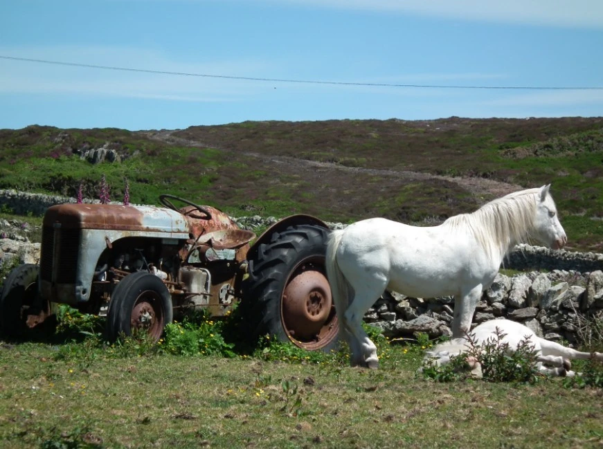 Horse_power_New_and_Old
