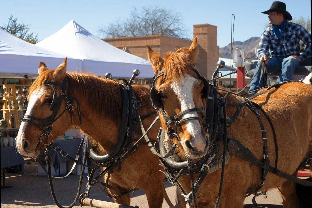 horses-tubac.jpg