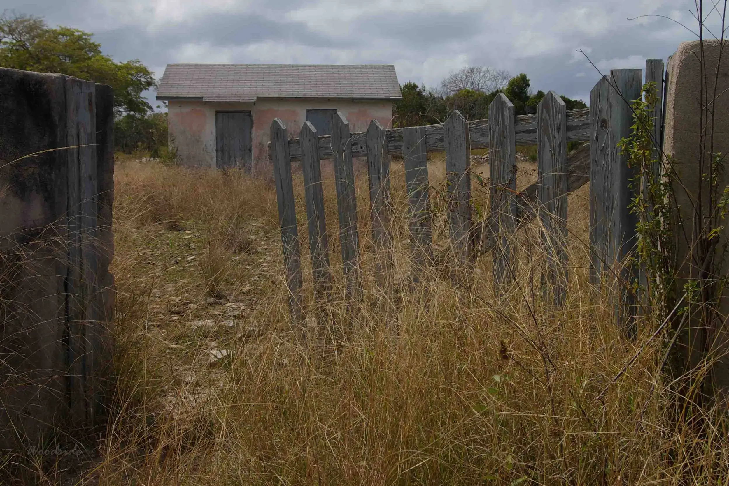 House and Gate
