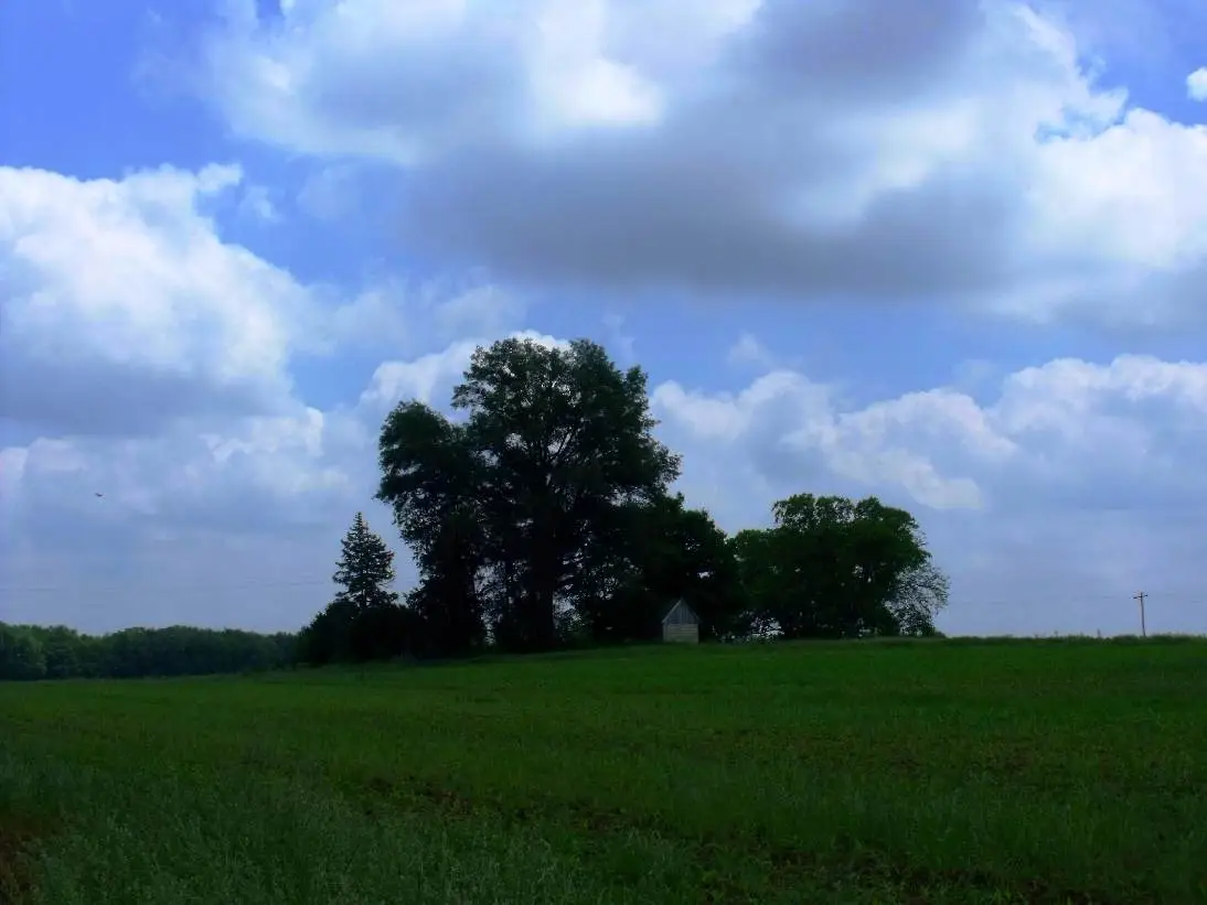 house on a hill