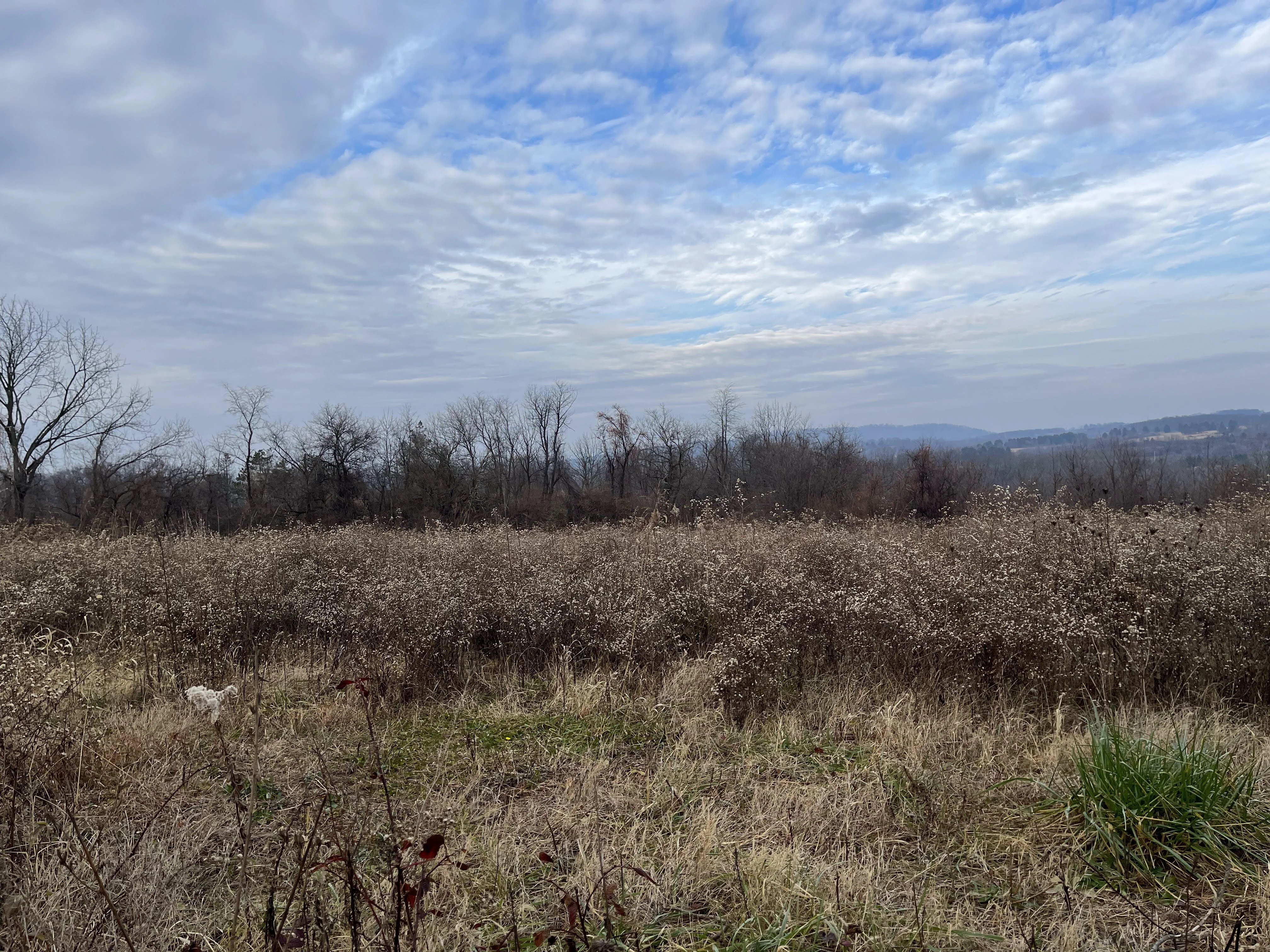 Hunting spot