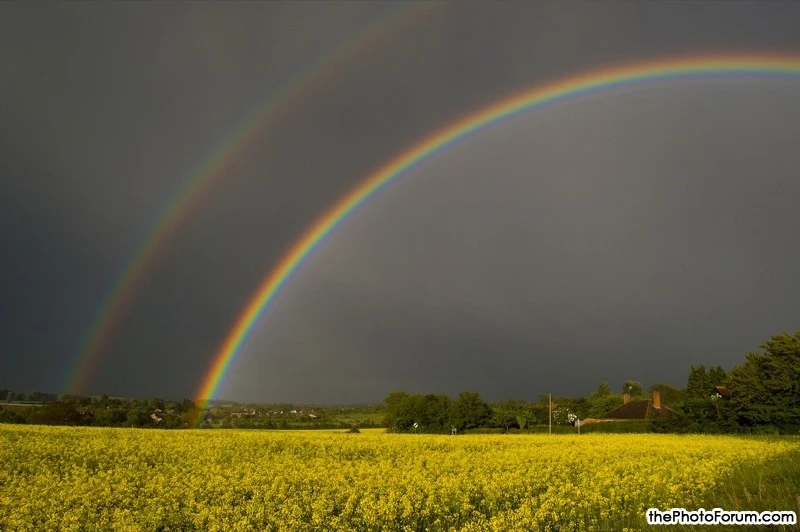 I Can See a Rainbow