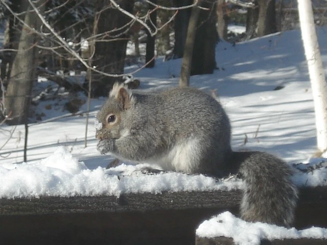 I'm just having a snack