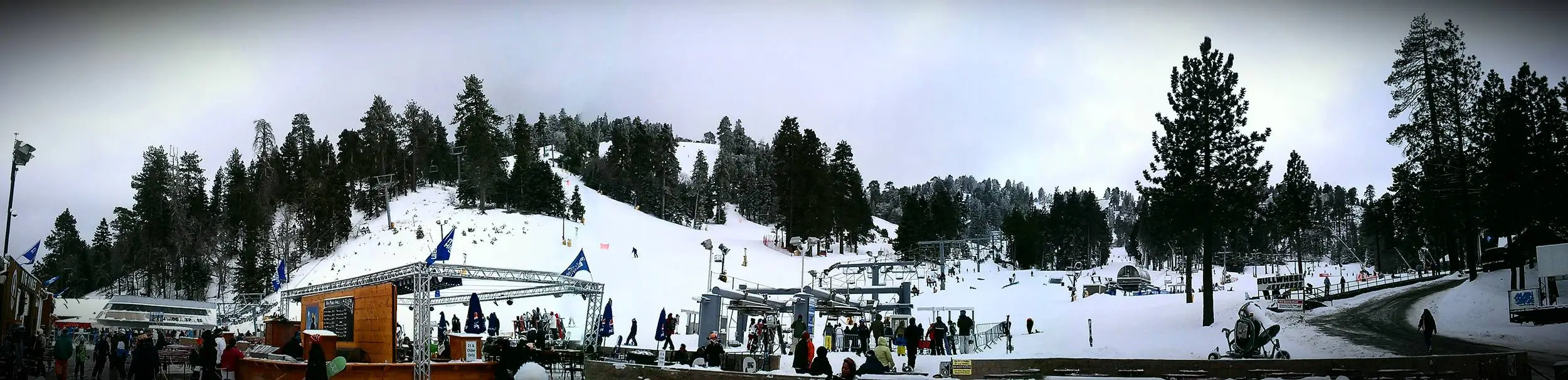 IMAG0007-1
