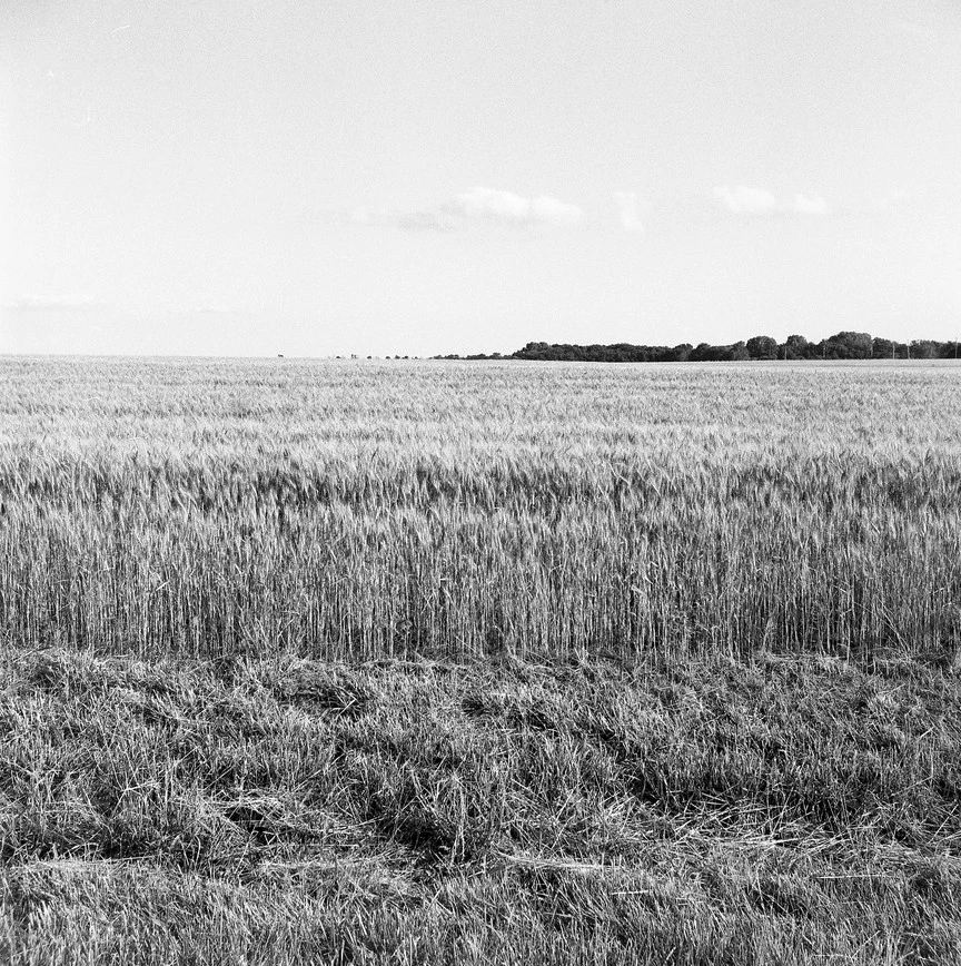 img305.jpg