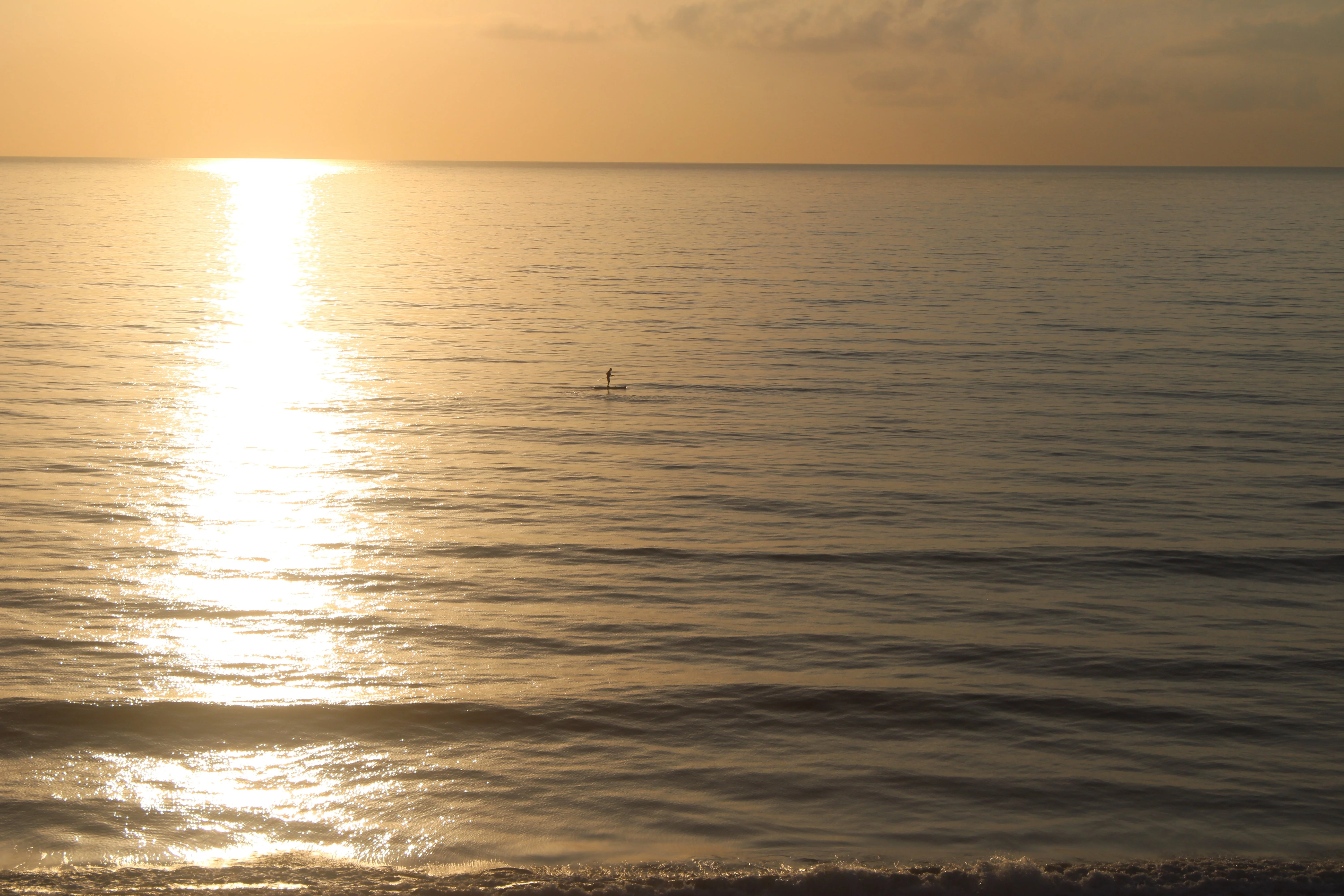 IMG_0133.webp