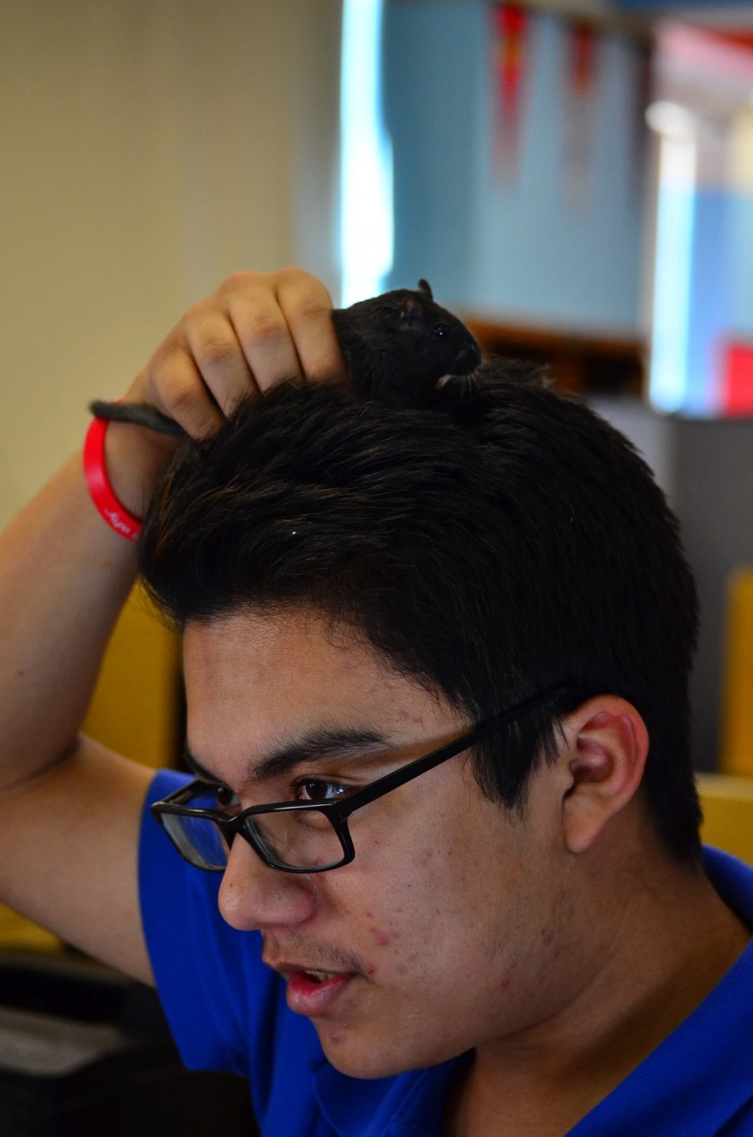 In Hair Of Its Alikeness