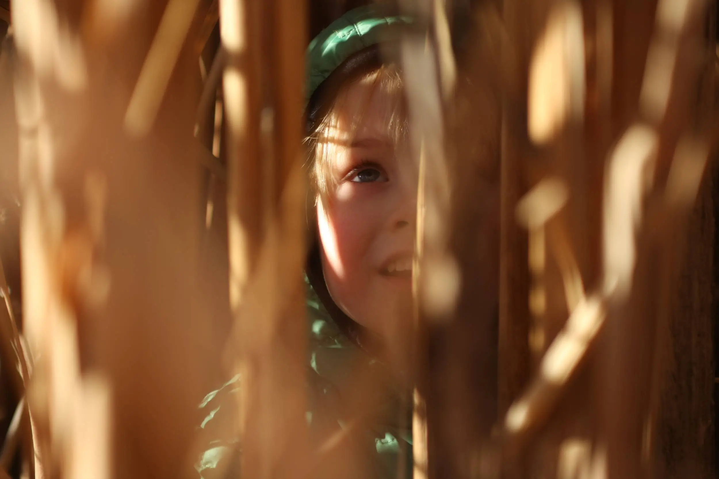 In the cattails