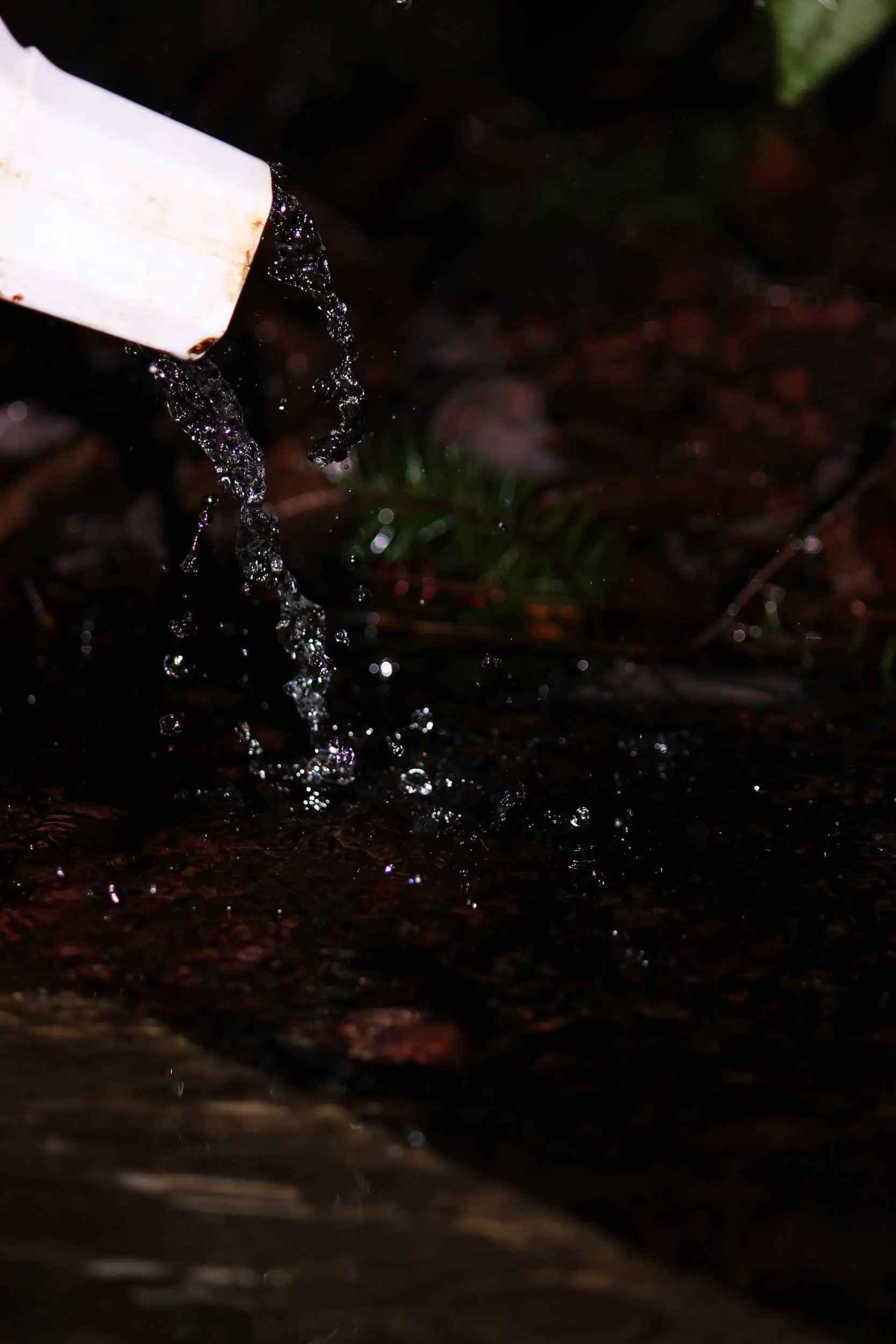 In the Rain