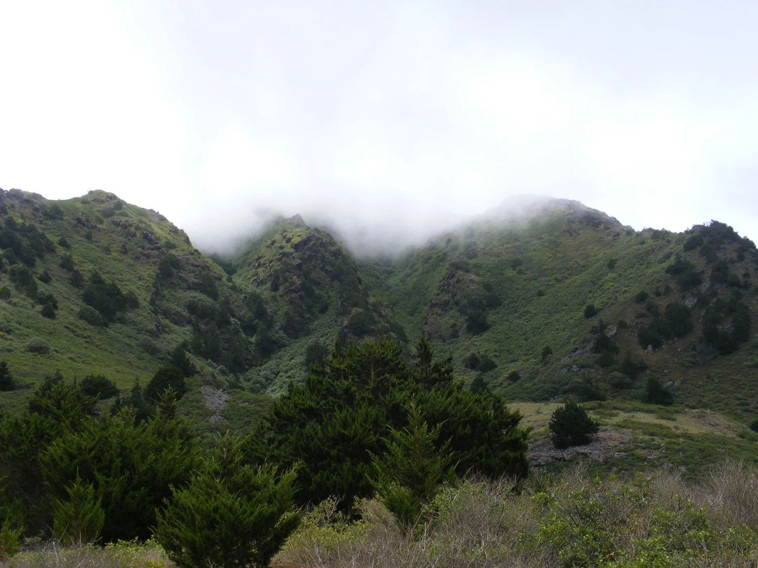 In_the_Clouds