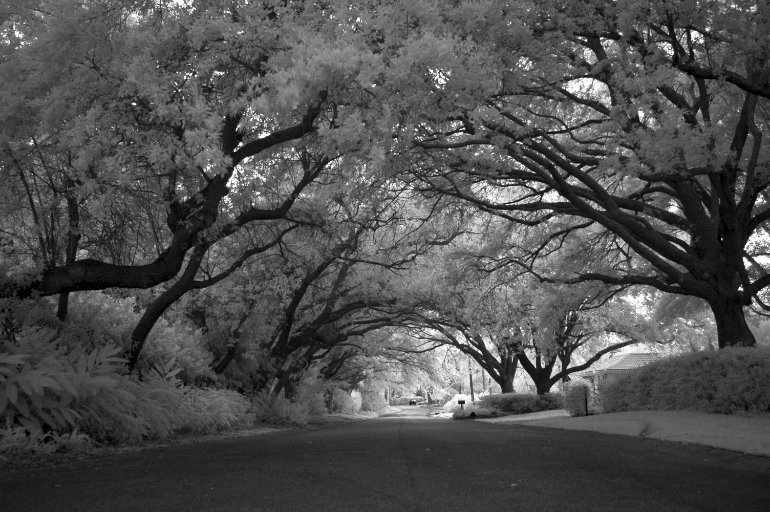 Infrared