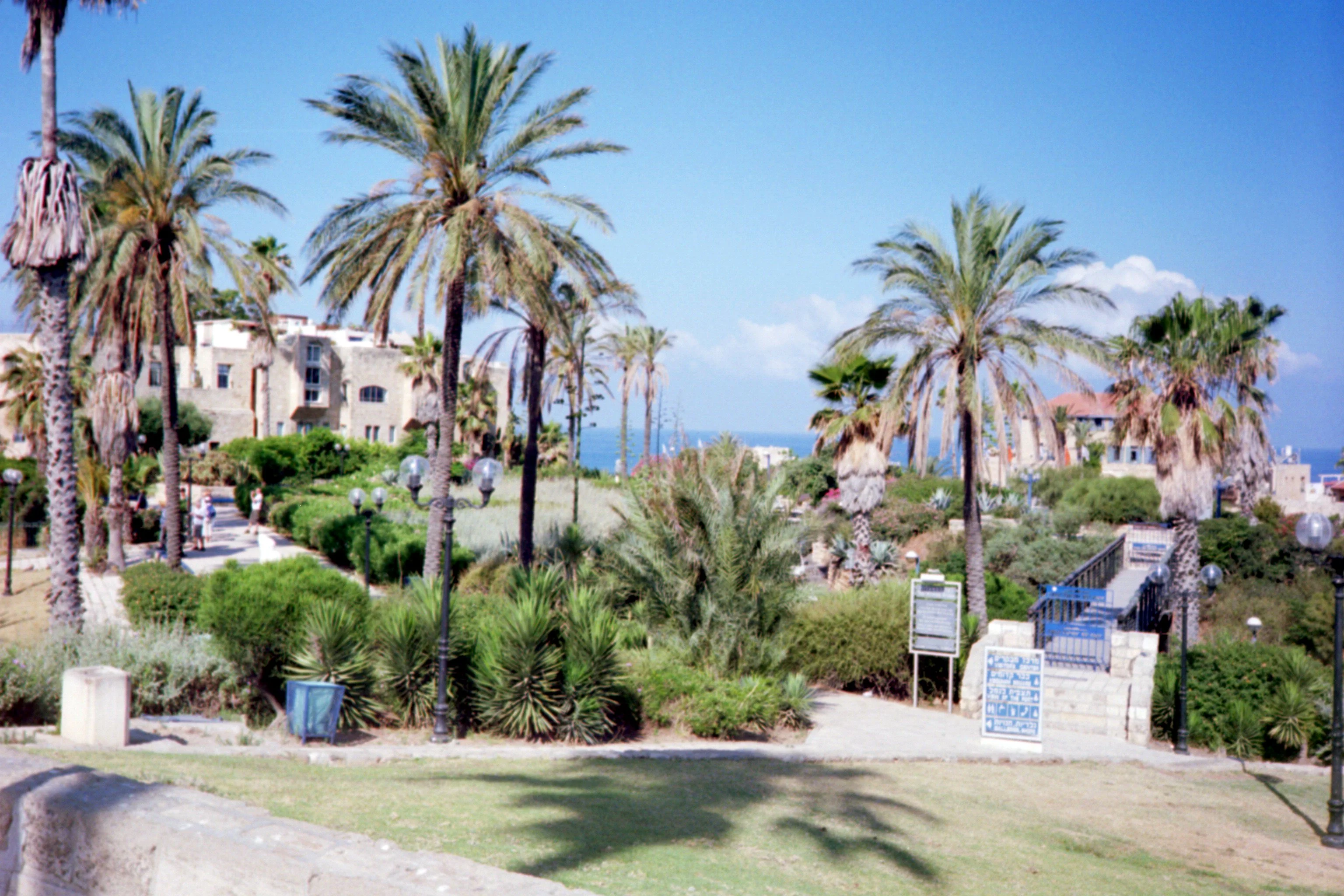 Jaffa
