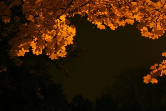 jan08photo36