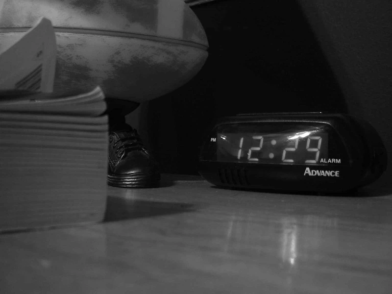 jan08photo40