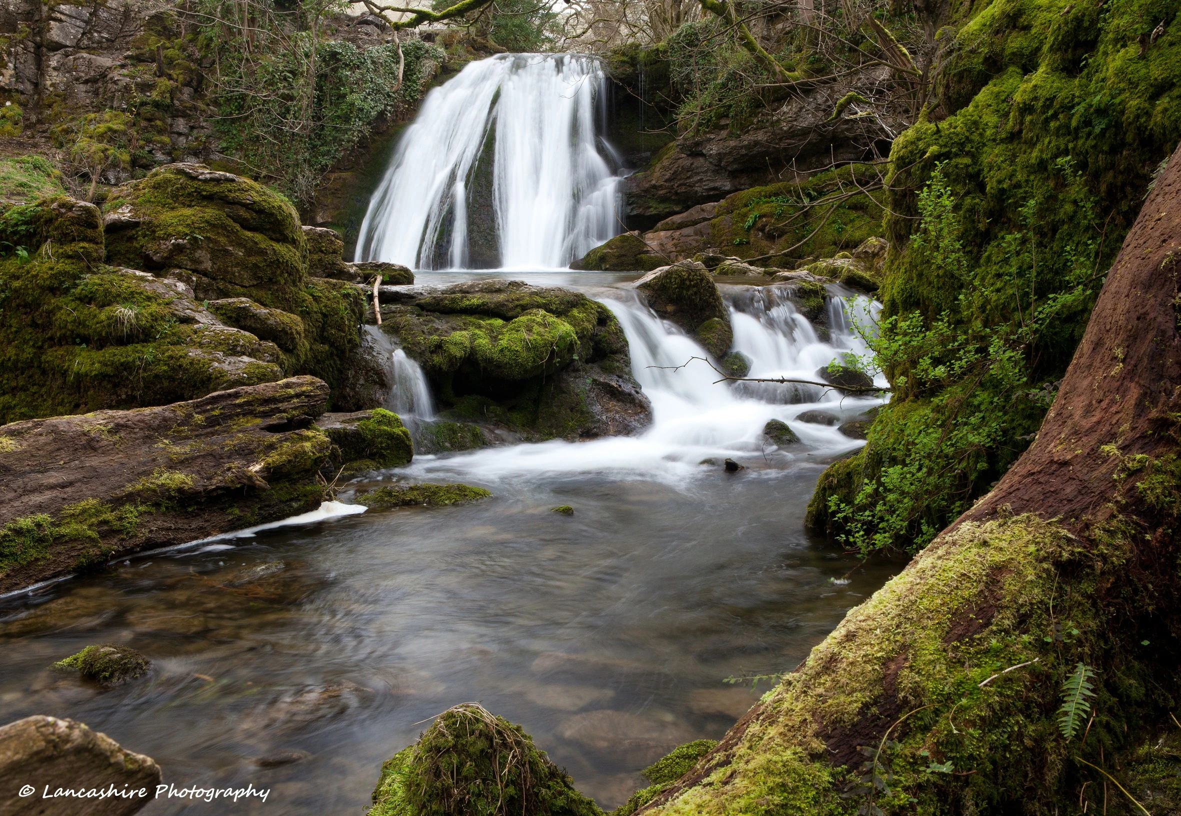 Janet's Foss
