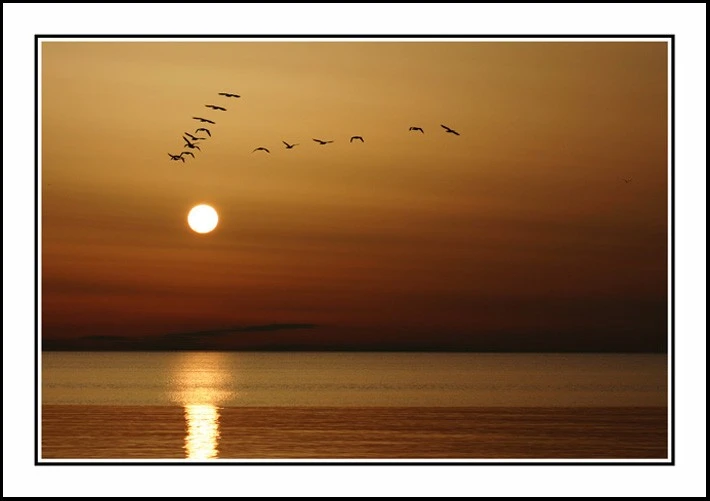 julyphoto26-Into the Sun