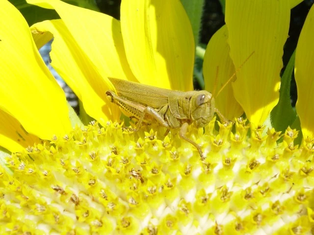 junephoto34