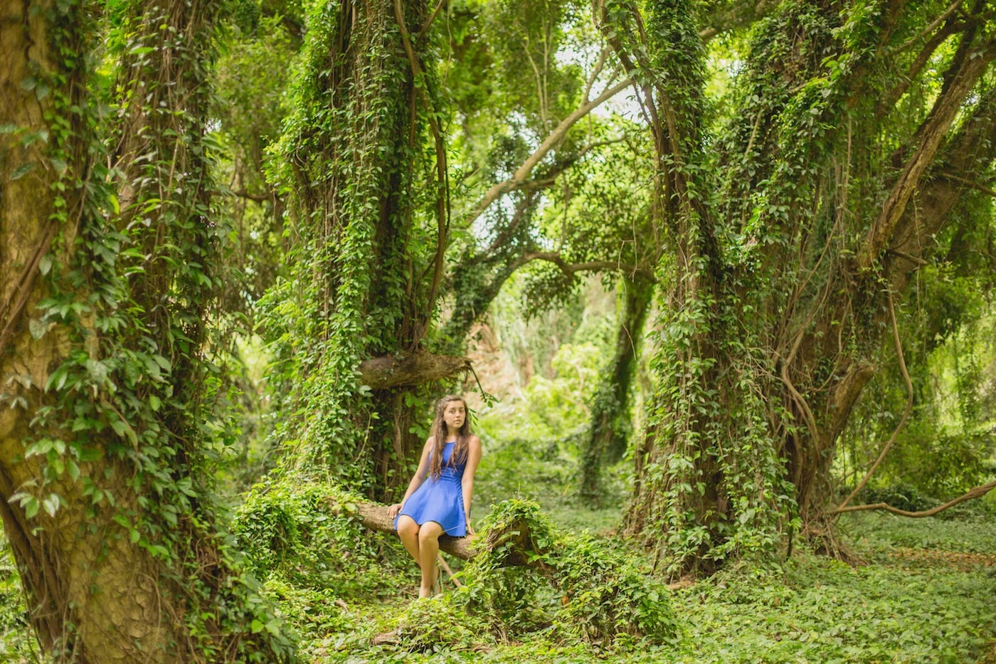Jungle Maui Family Portraits