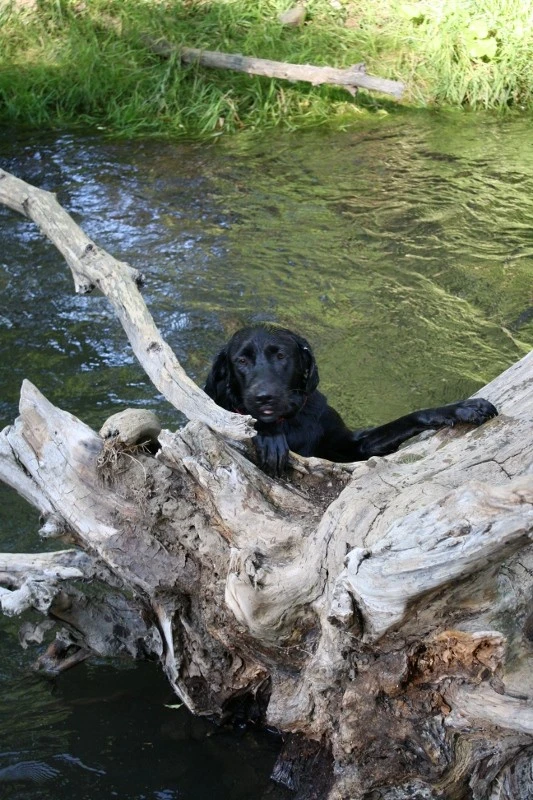 Just out for a swim