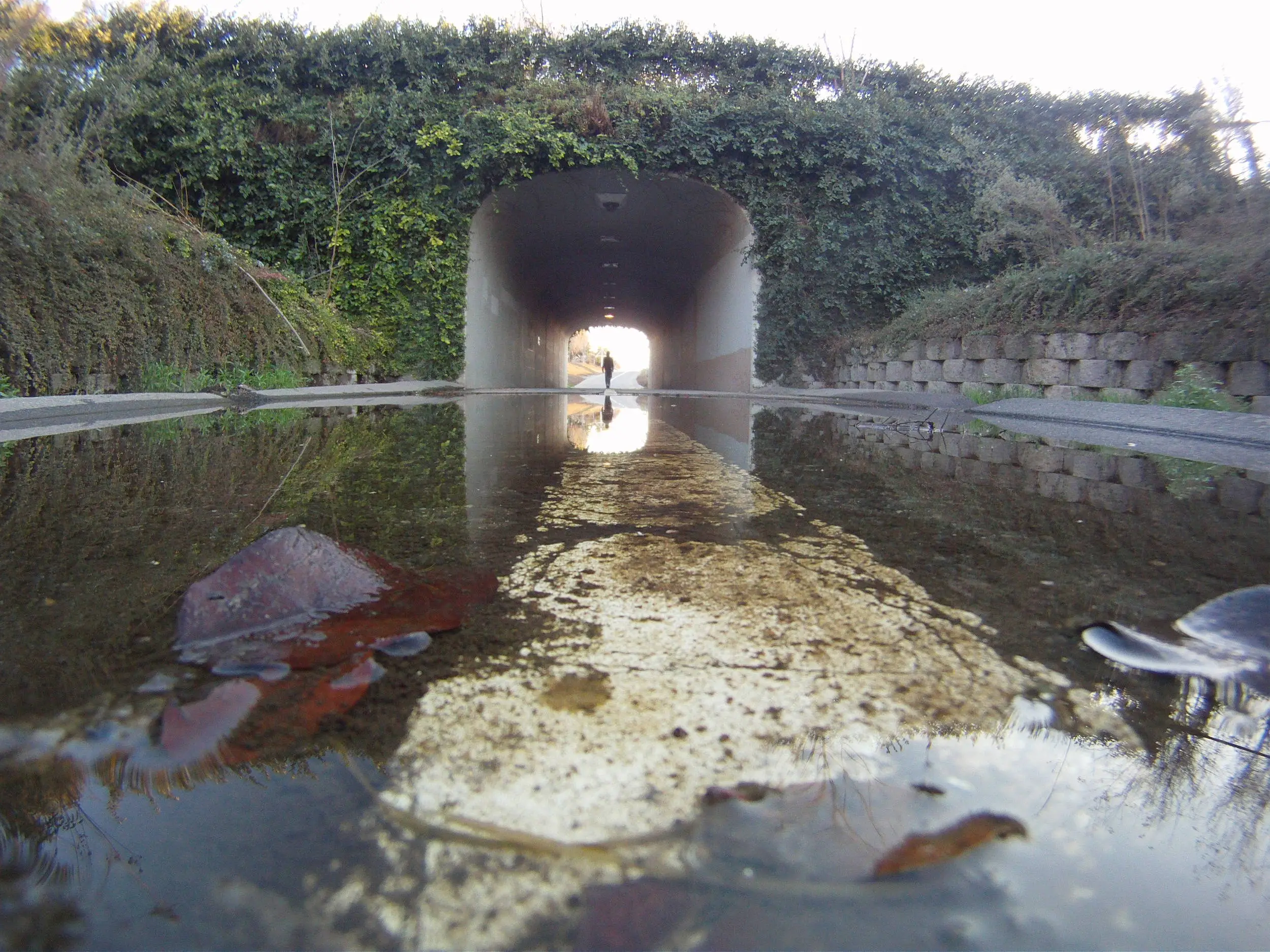 Just some photos i take