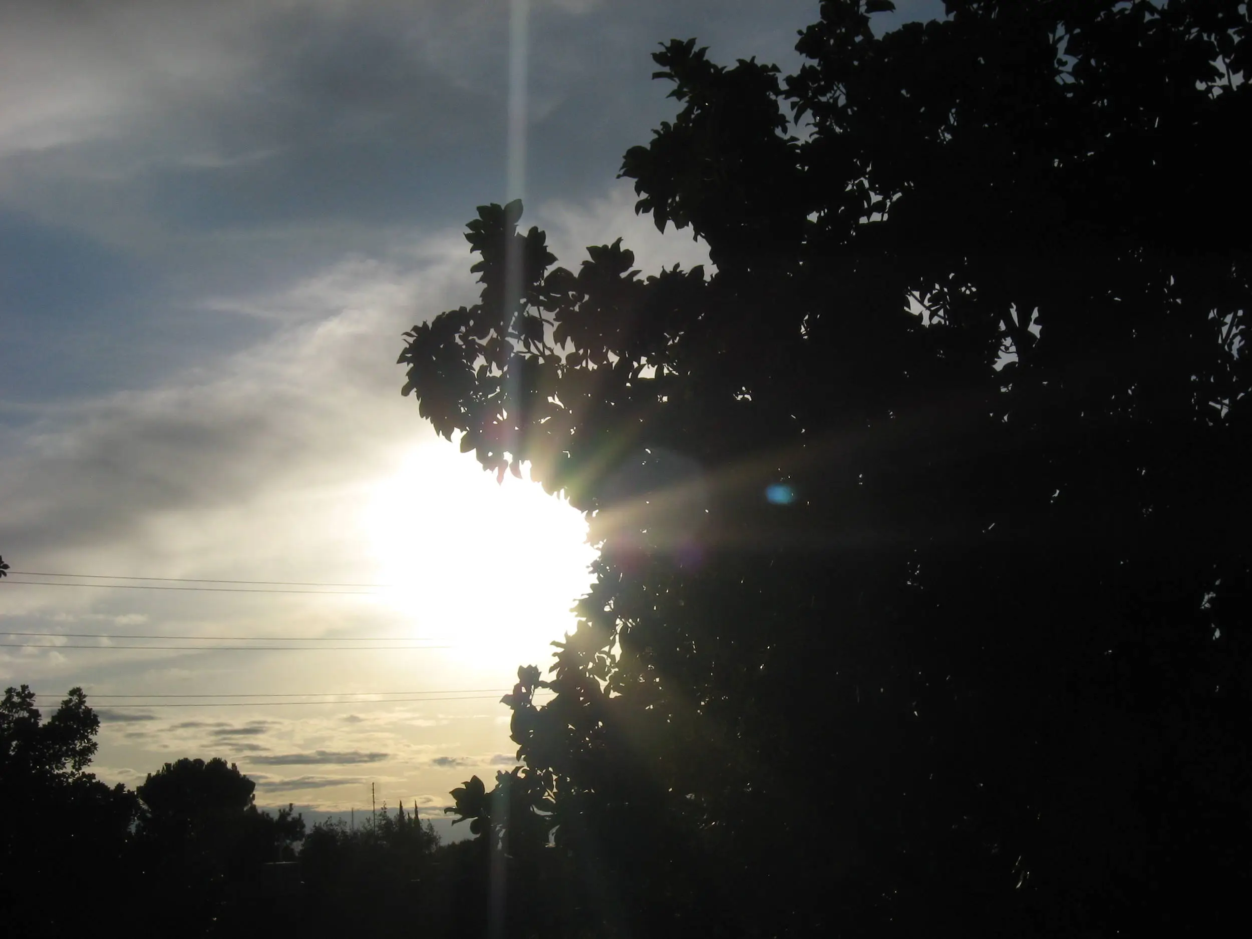 Just some photos i take