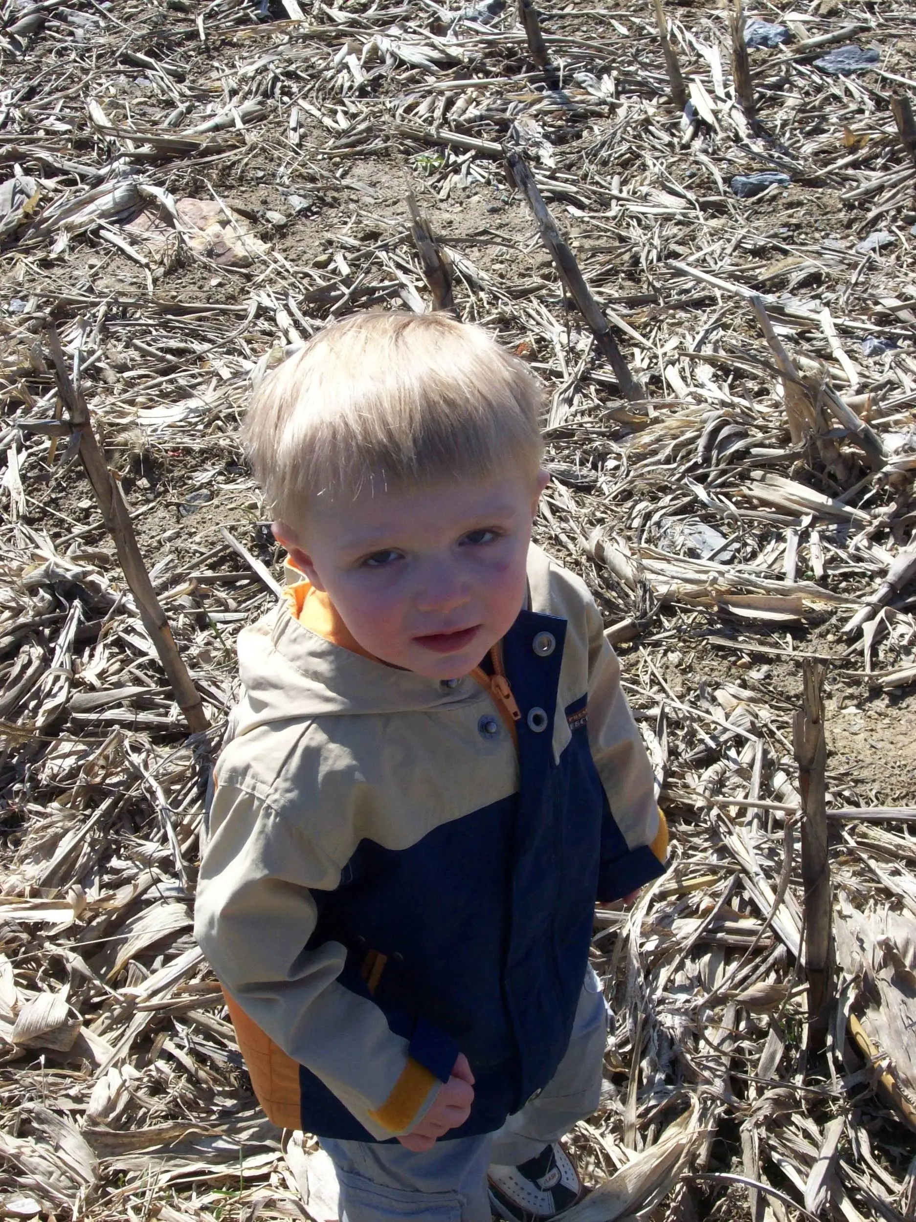 kaden
