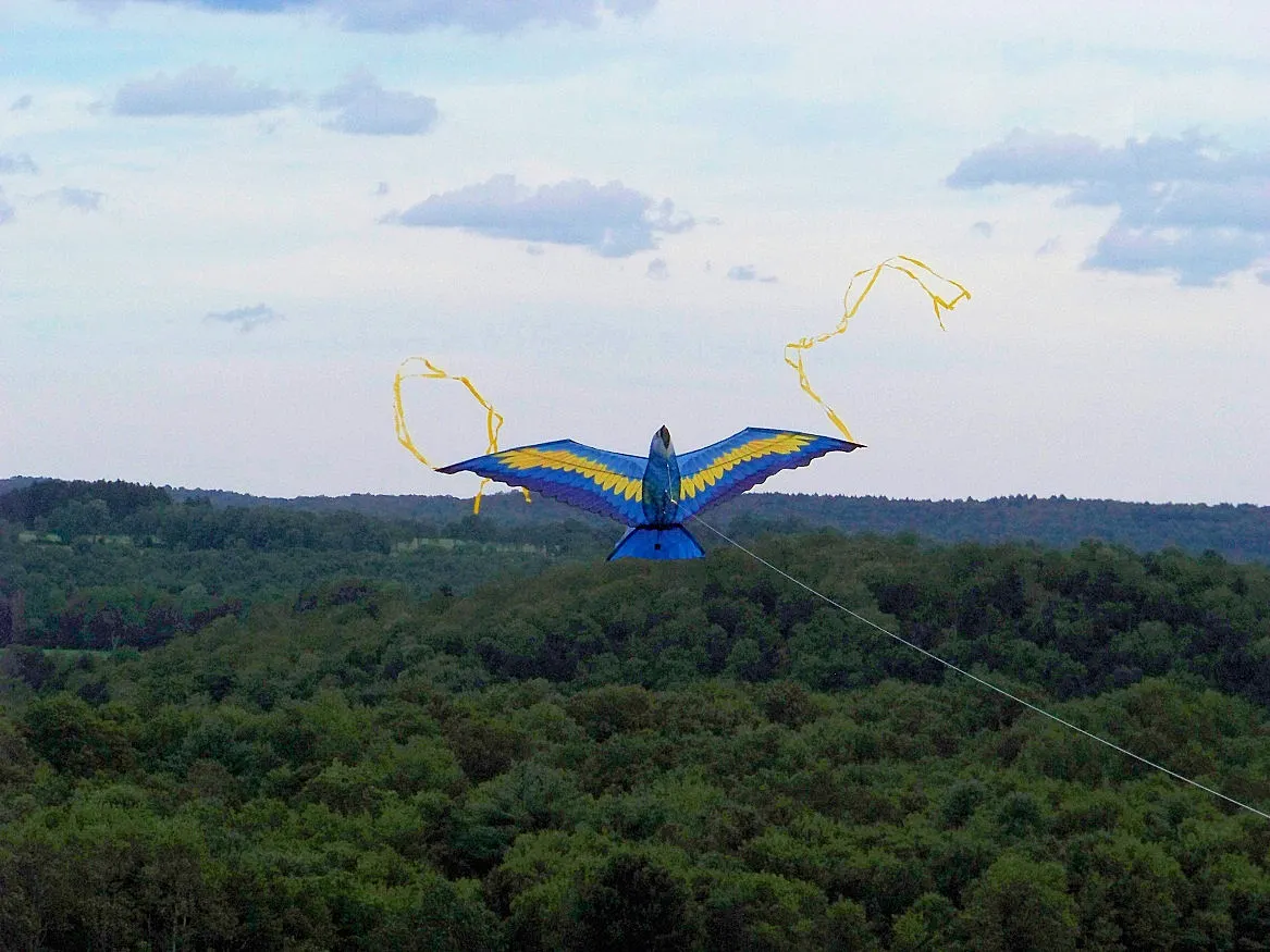 Kite flying