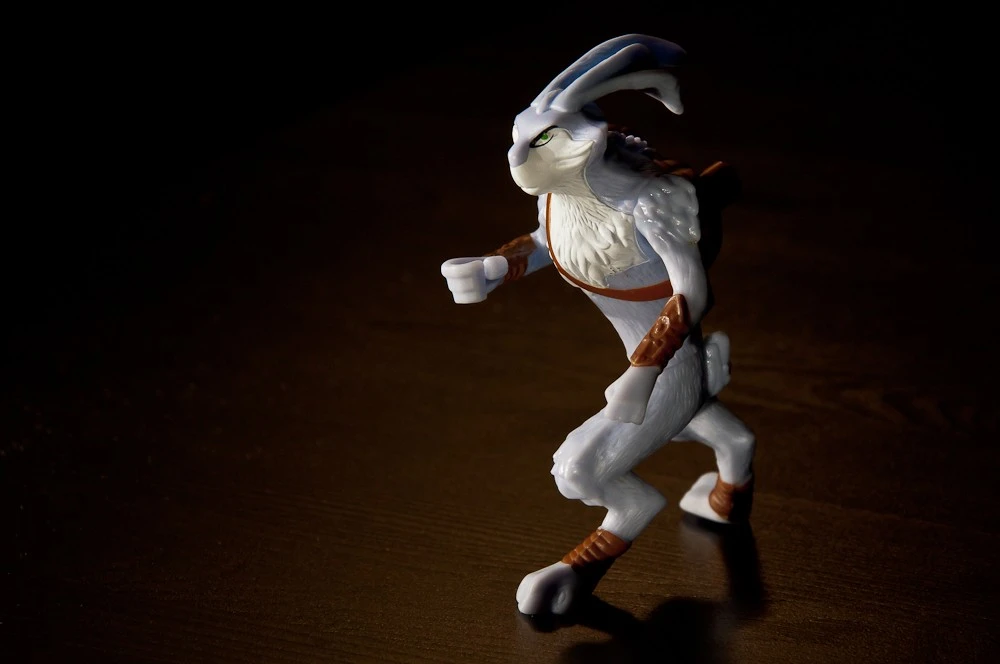 Kung Fu Rabbit