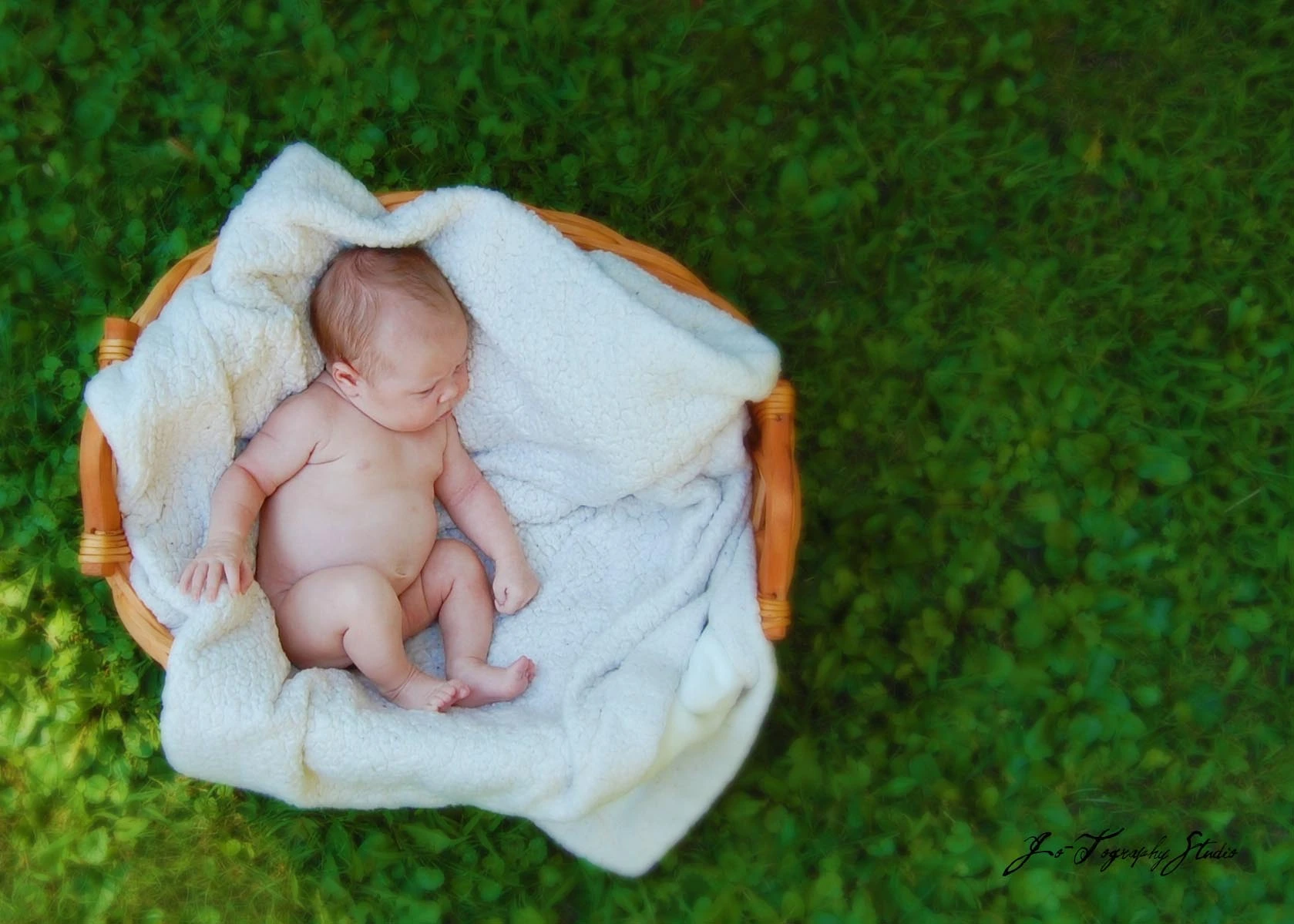 Lainey_in_the_basket