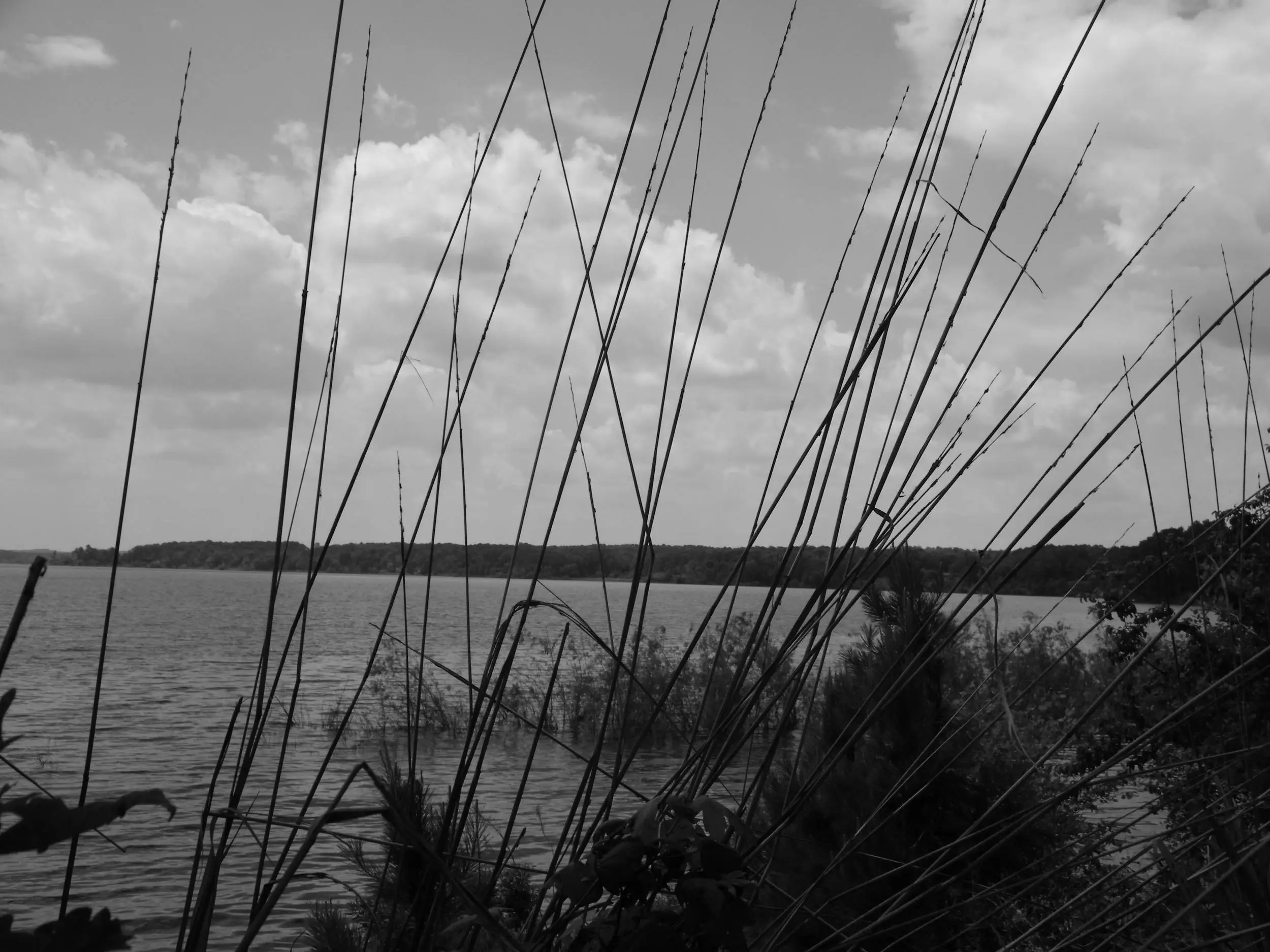 Lake O'the Pines