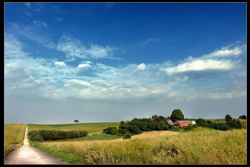 Landscape 04