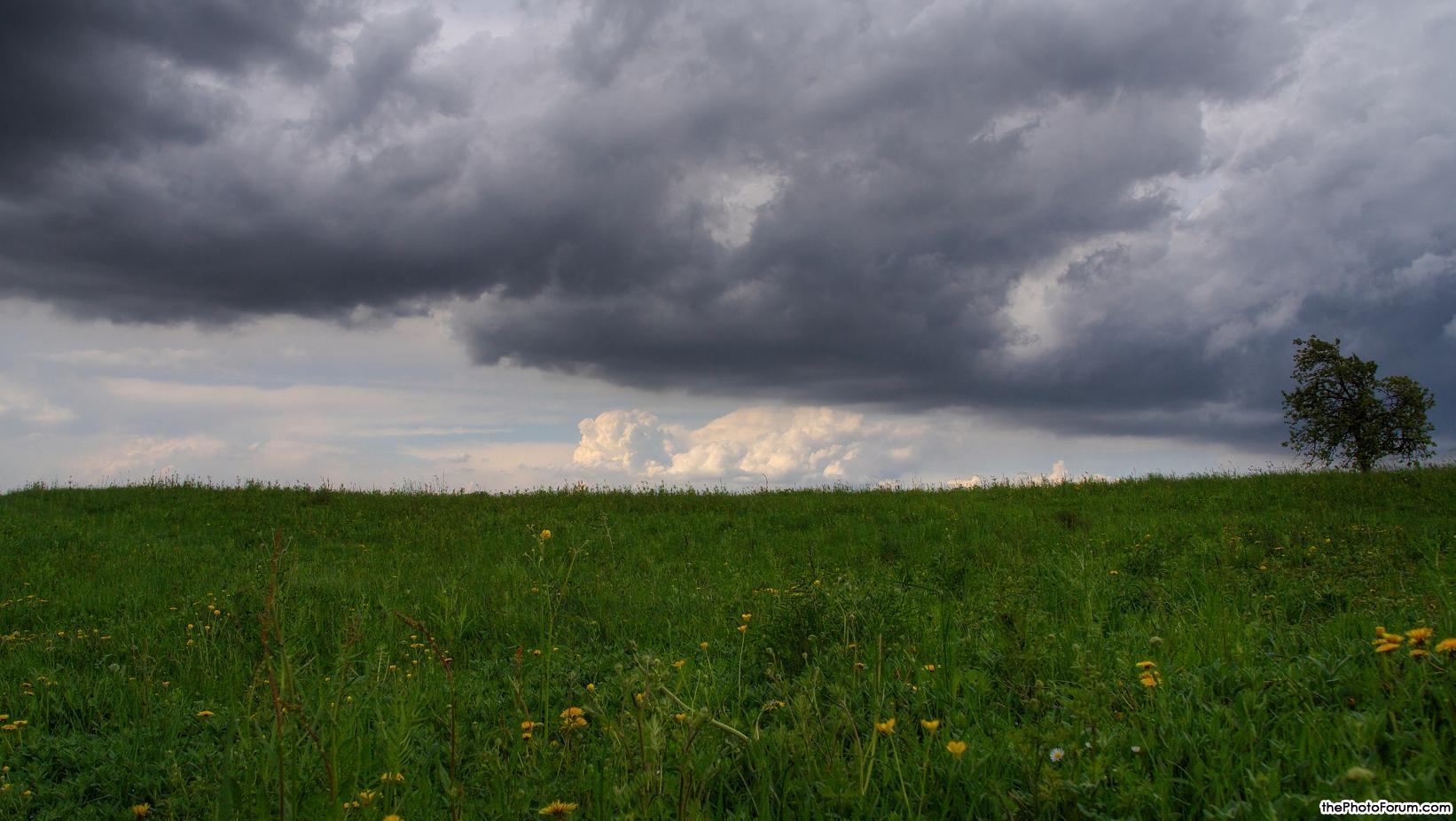 Landscape with tree and clouds