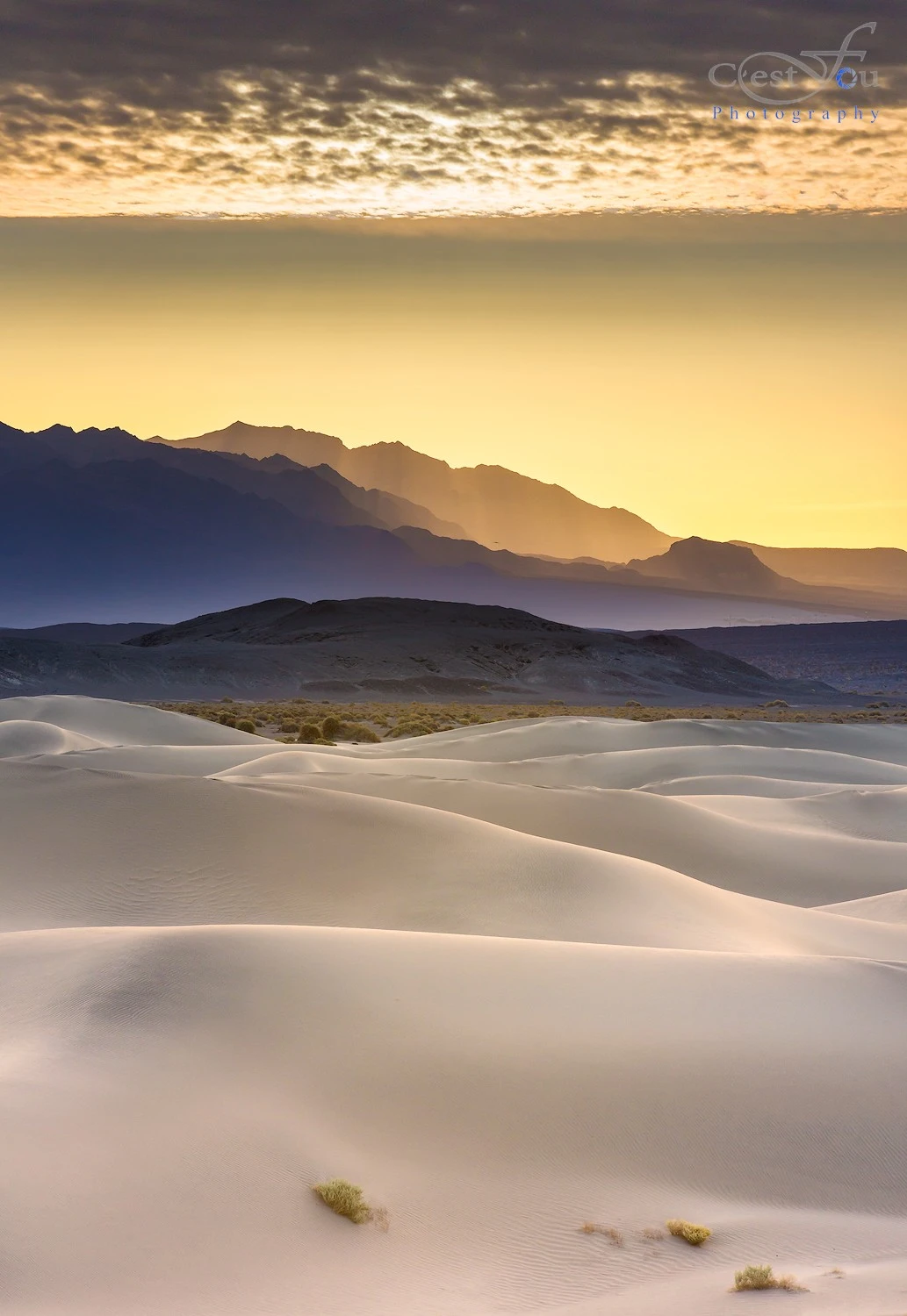 Layers Mesquite Dune