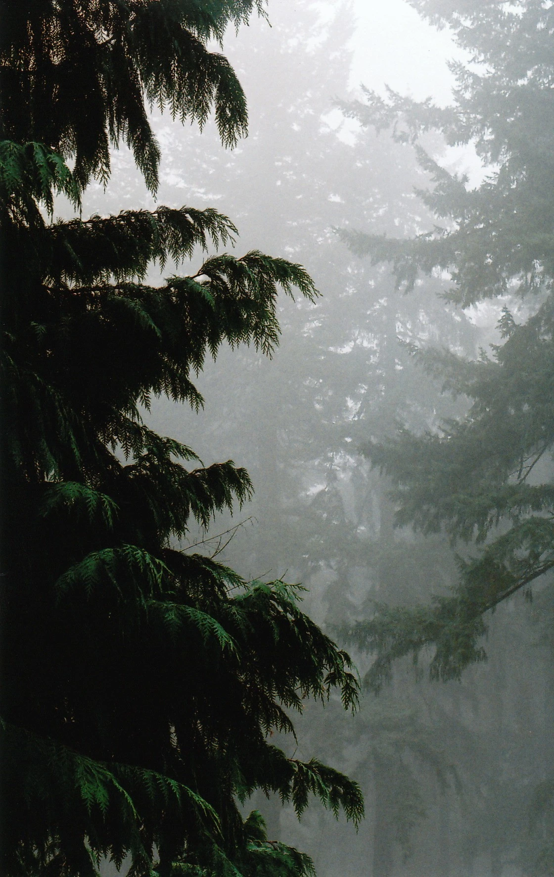 Layers