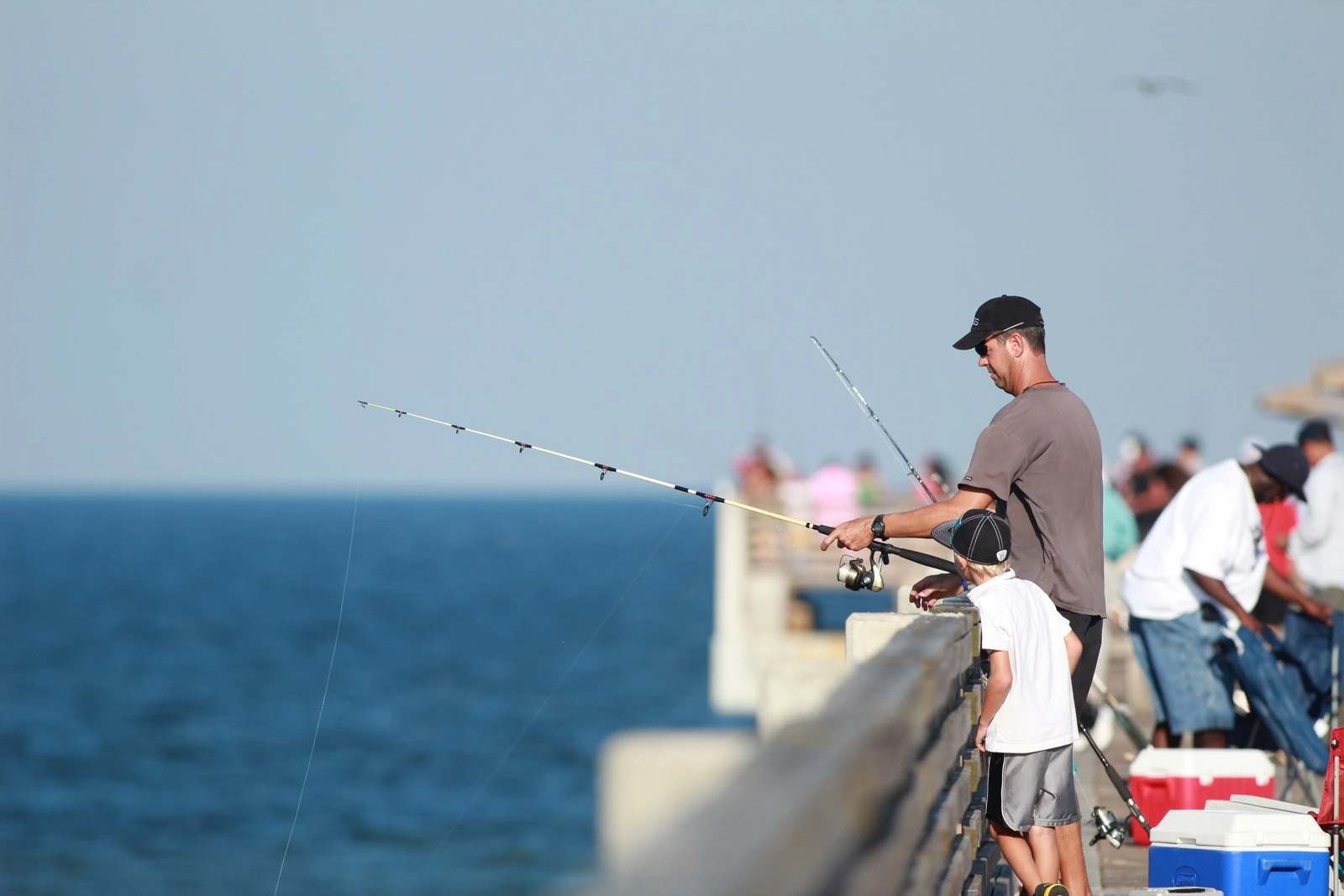 Learning to Fish