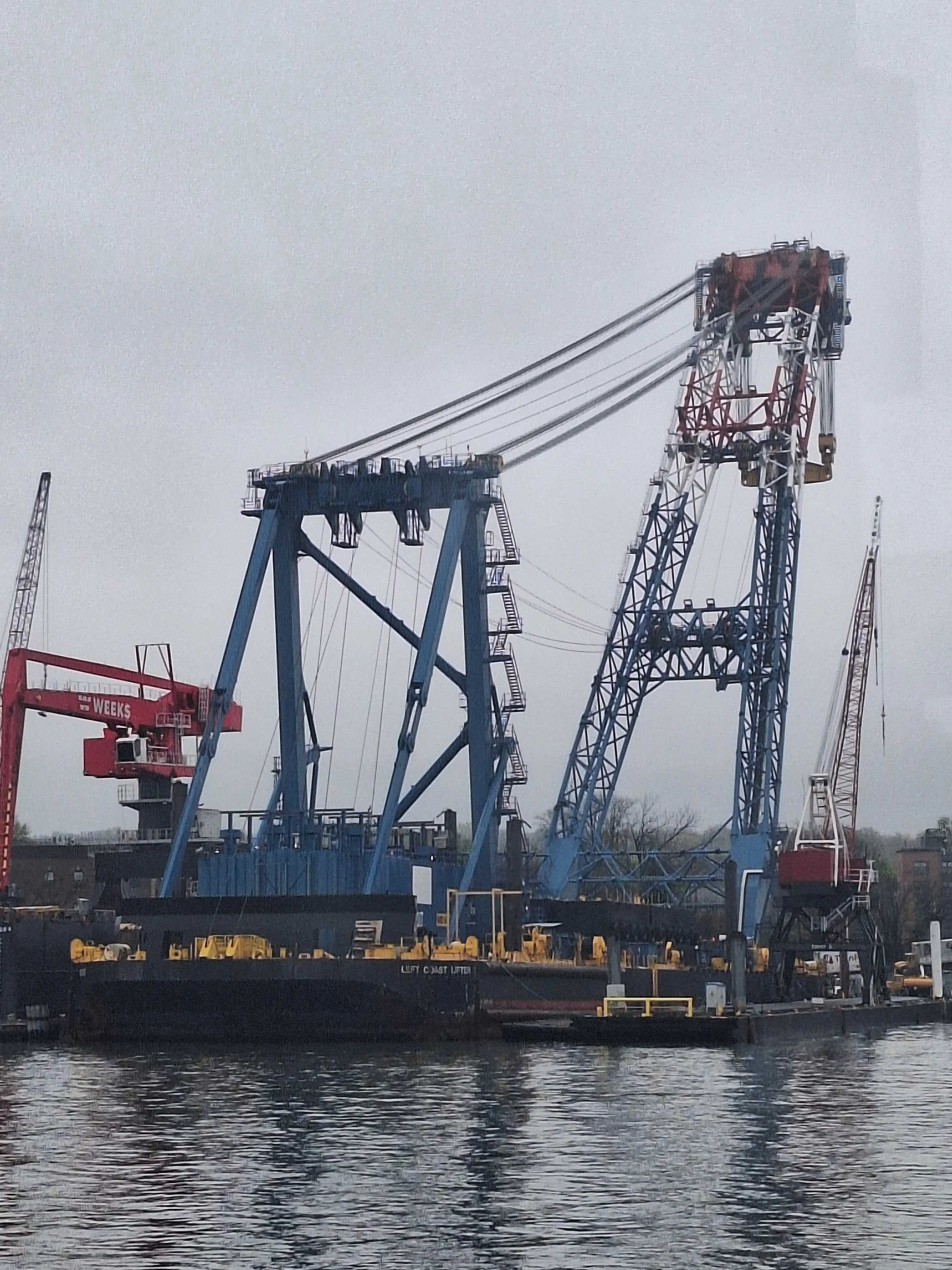 Left Coast Lifter 1