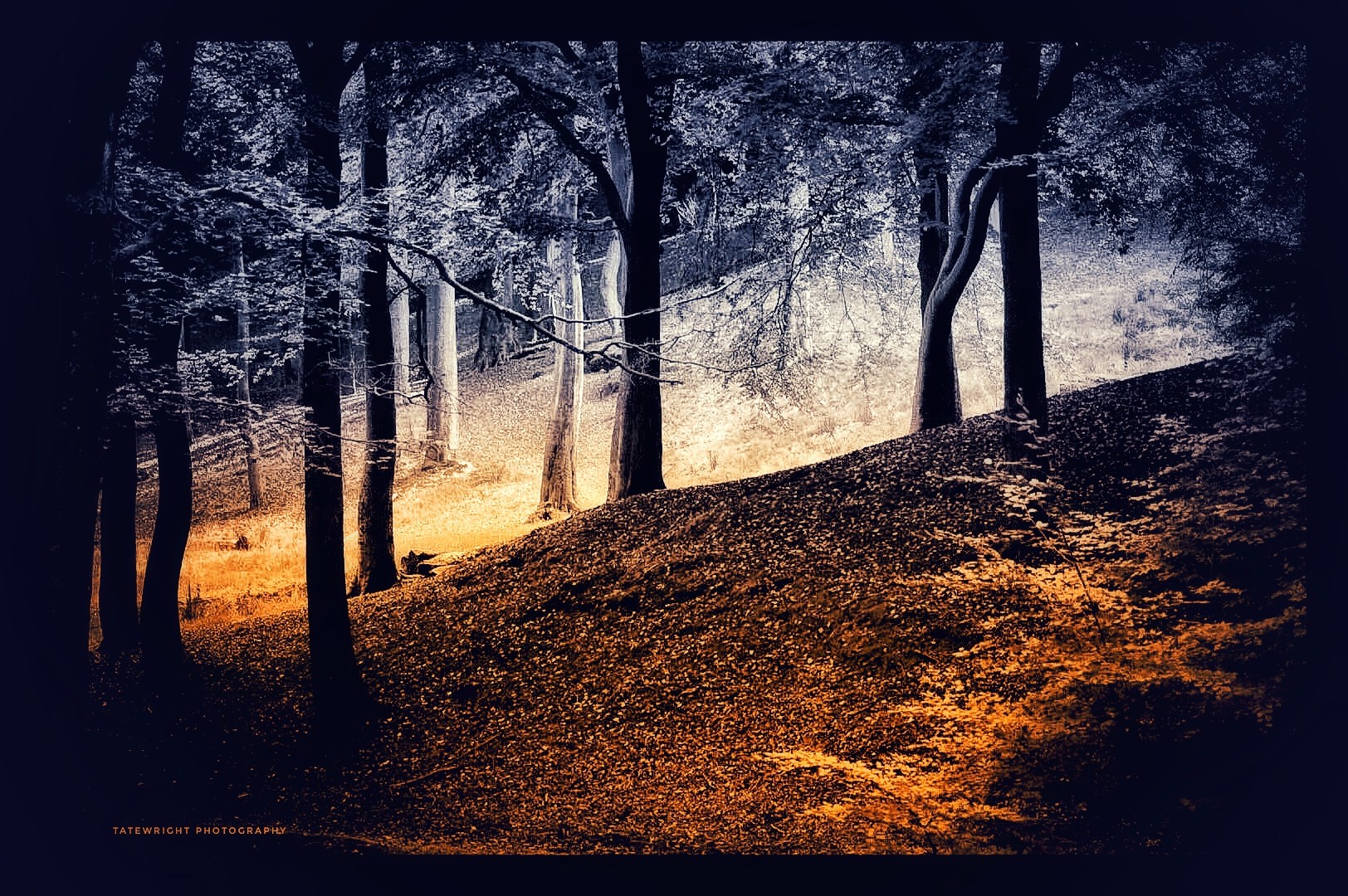 Let there be light