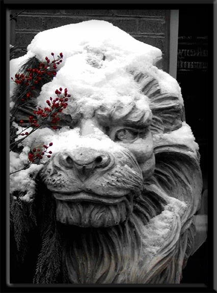LionBerry