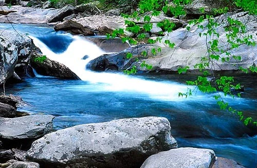 Little_Pigon_River