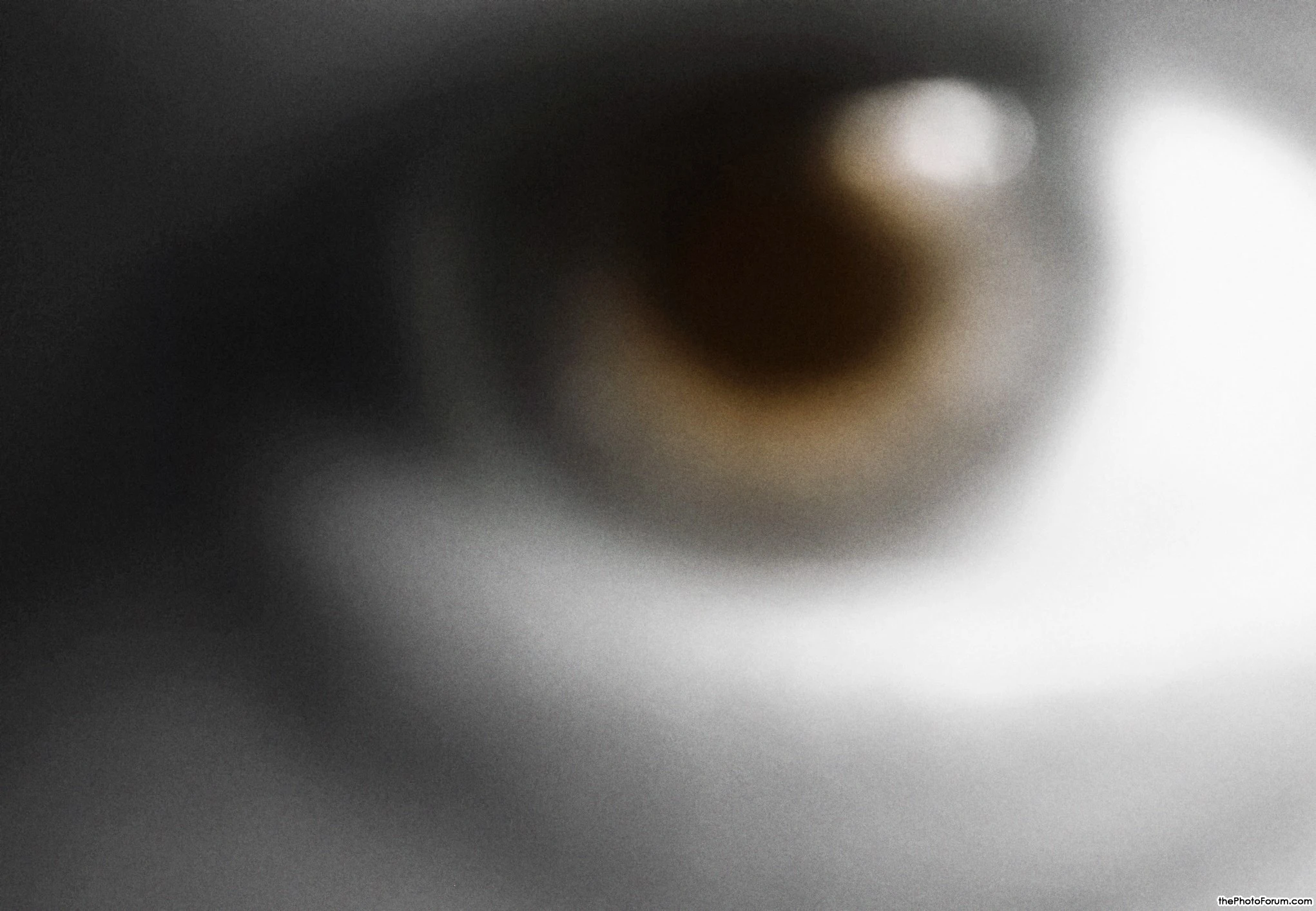 Look into my eye
