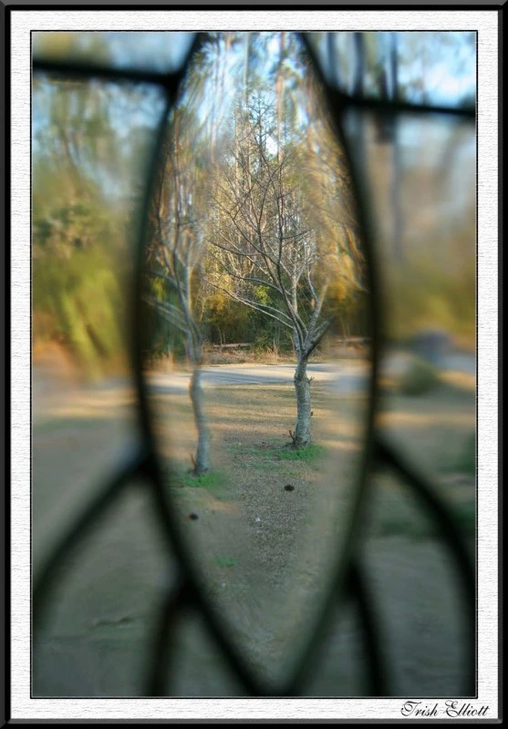 Looking Glass