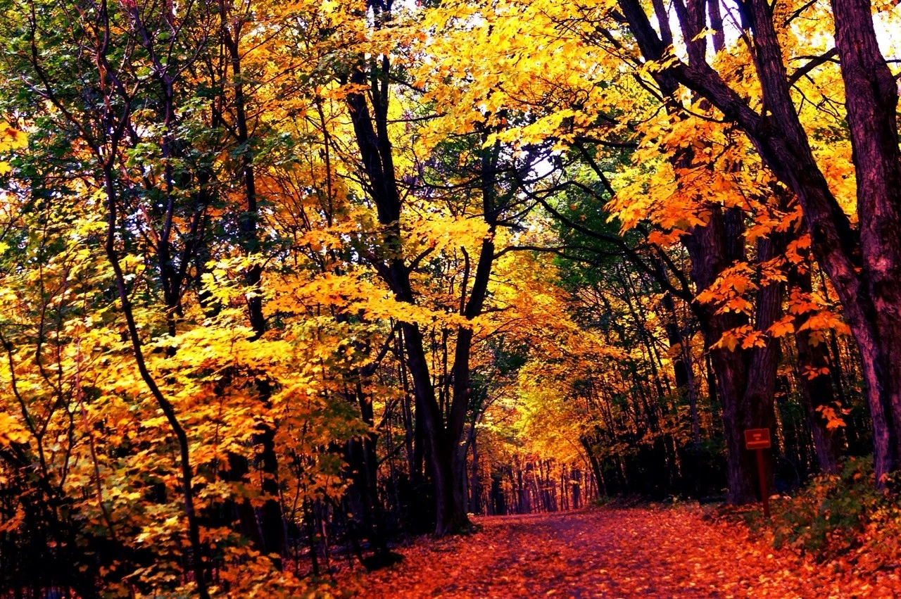 Lost In A Fairytale